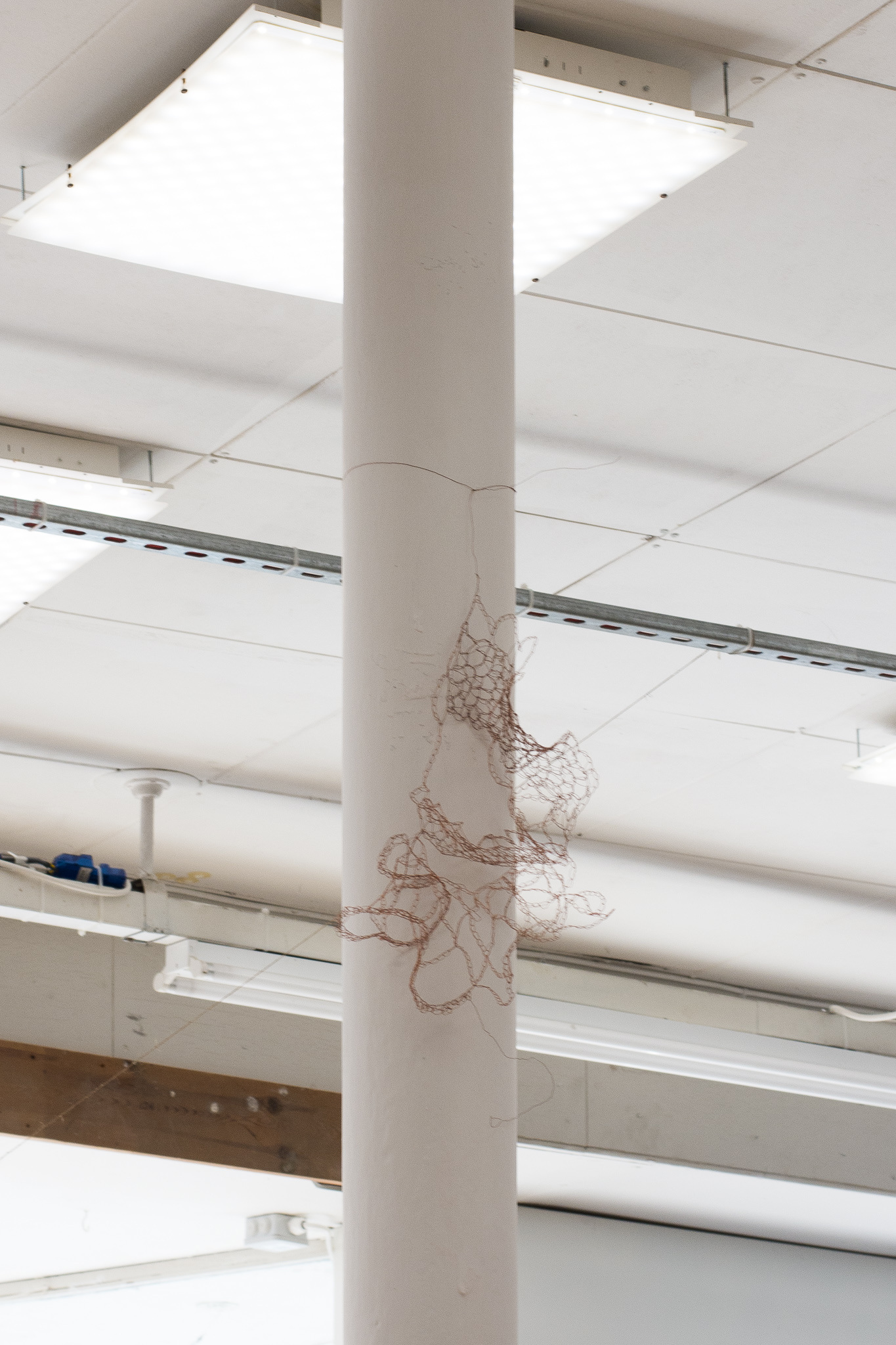 Title: 'Secret Crawling'