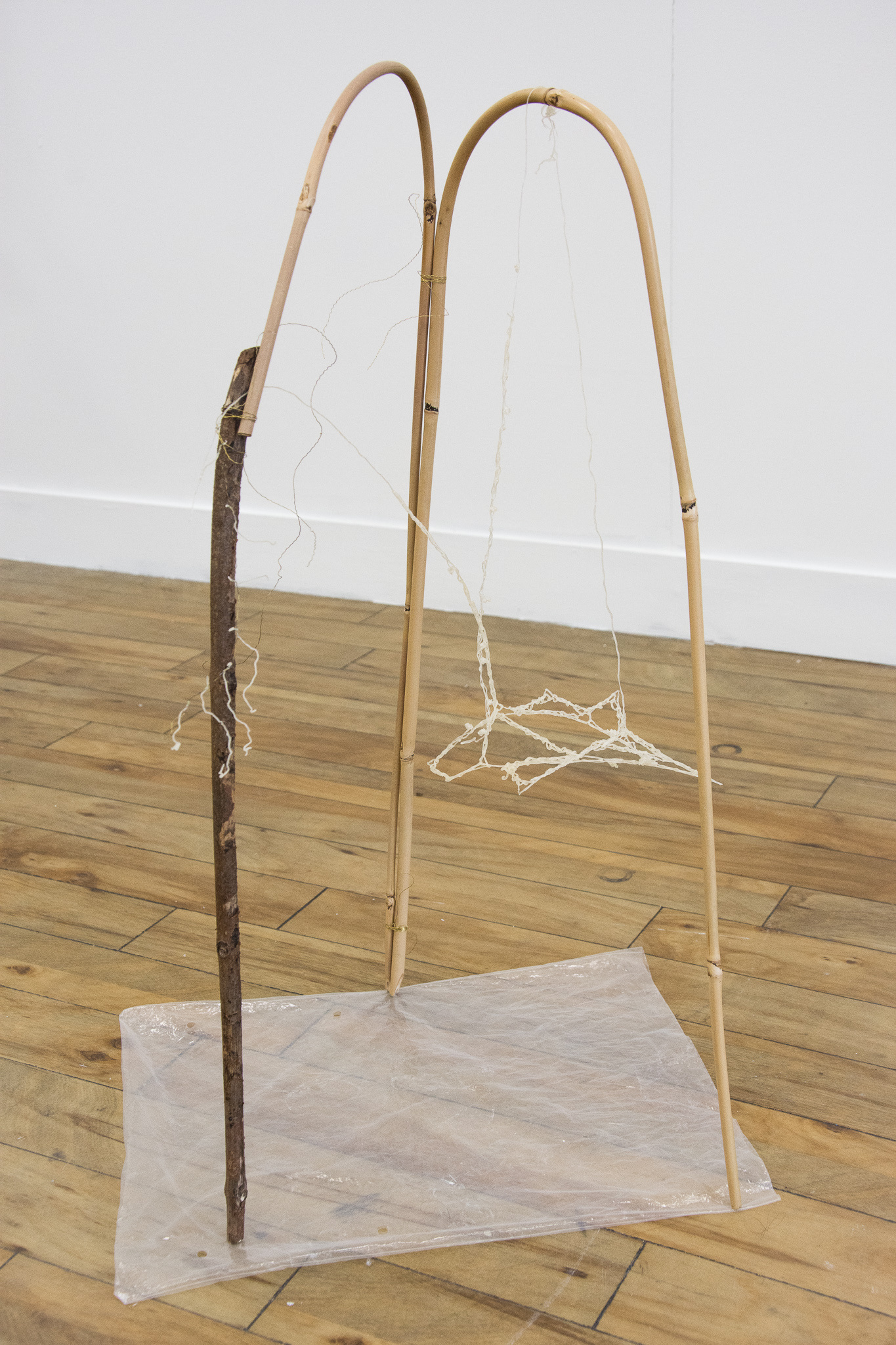 Title: 'Dried Drying Rack'