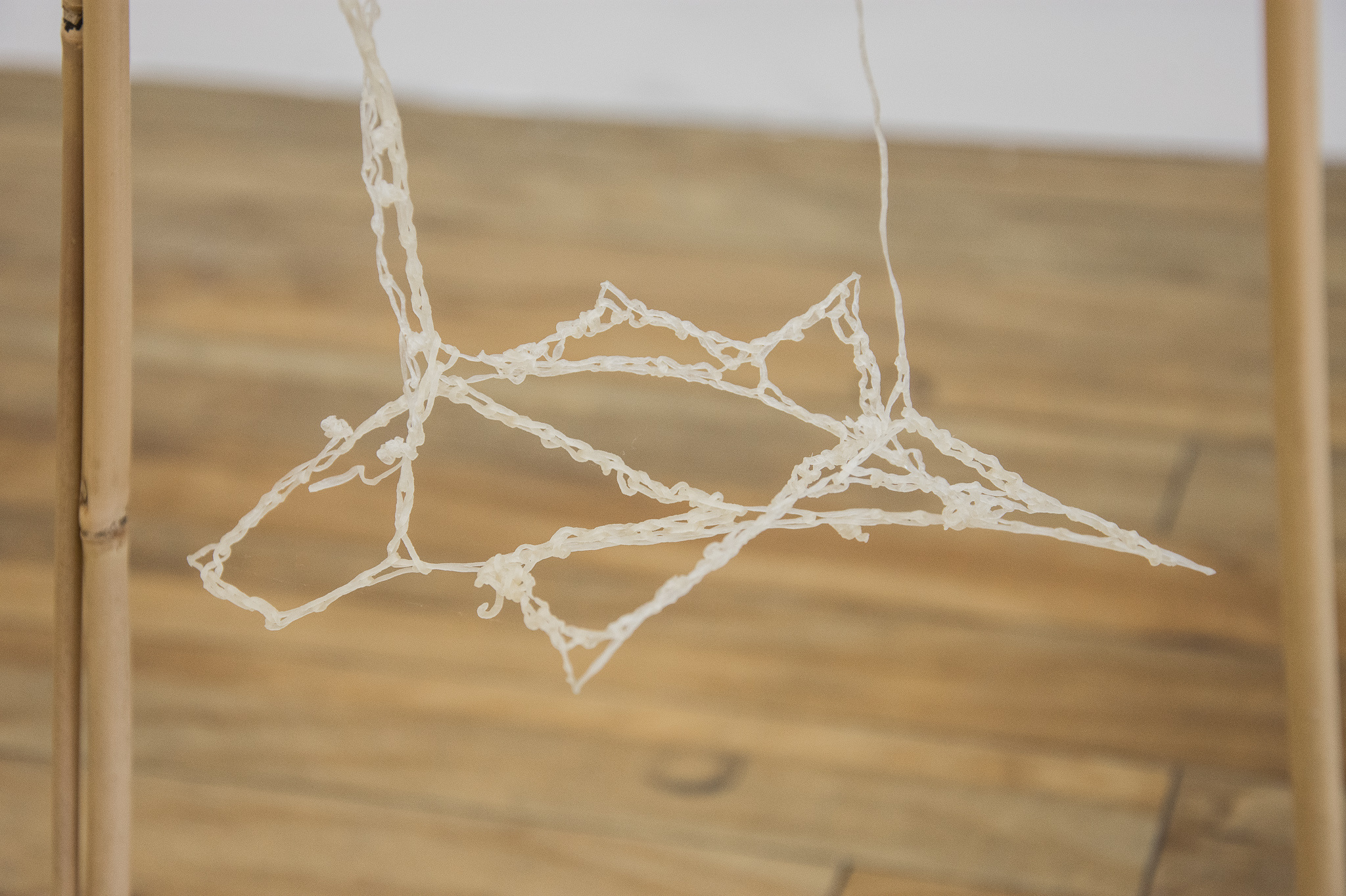 Title: 'Dried Drying Rack', detail