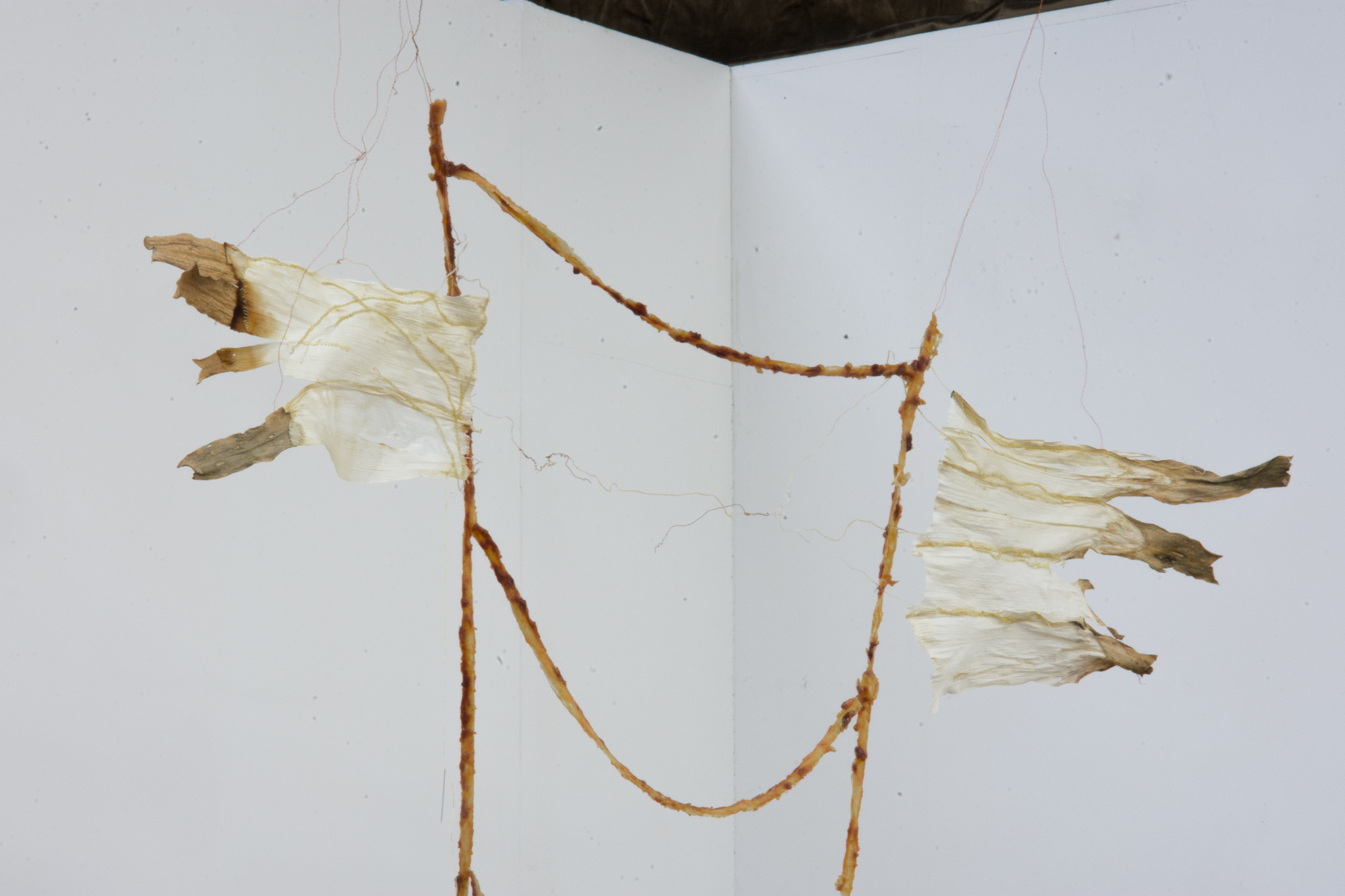 Title: 'Flying Drying Rack', detail