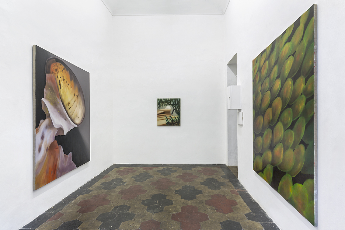 Giulio Saverio Rossi, Un'immagine ci tiene prigionieri, installation view, 2023, at Quartz Studio, Torino.