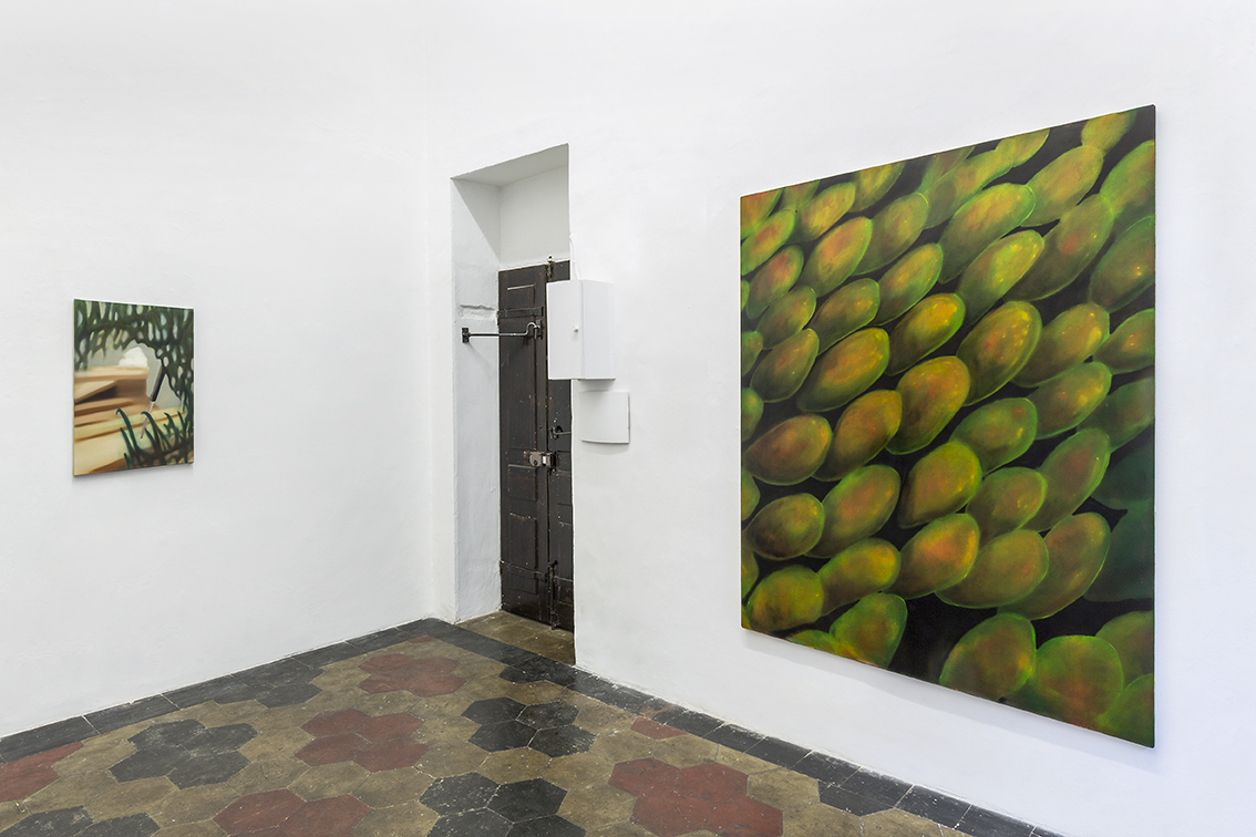 Giulio Saverio Rossi, Un'immagine ci tiene prigionieri, installation view, 2023, at Quartz Studio, Torino.