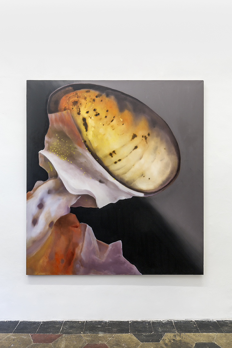 Giulio Saverio Rossi, Scientific Papers (Mantis Shrimp), oil on linen, 2023, at Quartz Studio, Torino.
