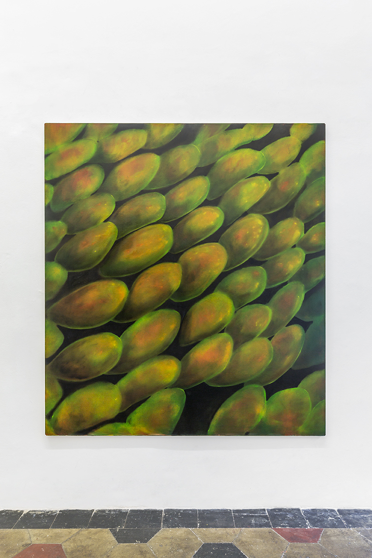 Giulio Saverio Rossi, Scientific Papers (Butterfly wings), oil on linen, 2023, at Quartz Studio, Torino.