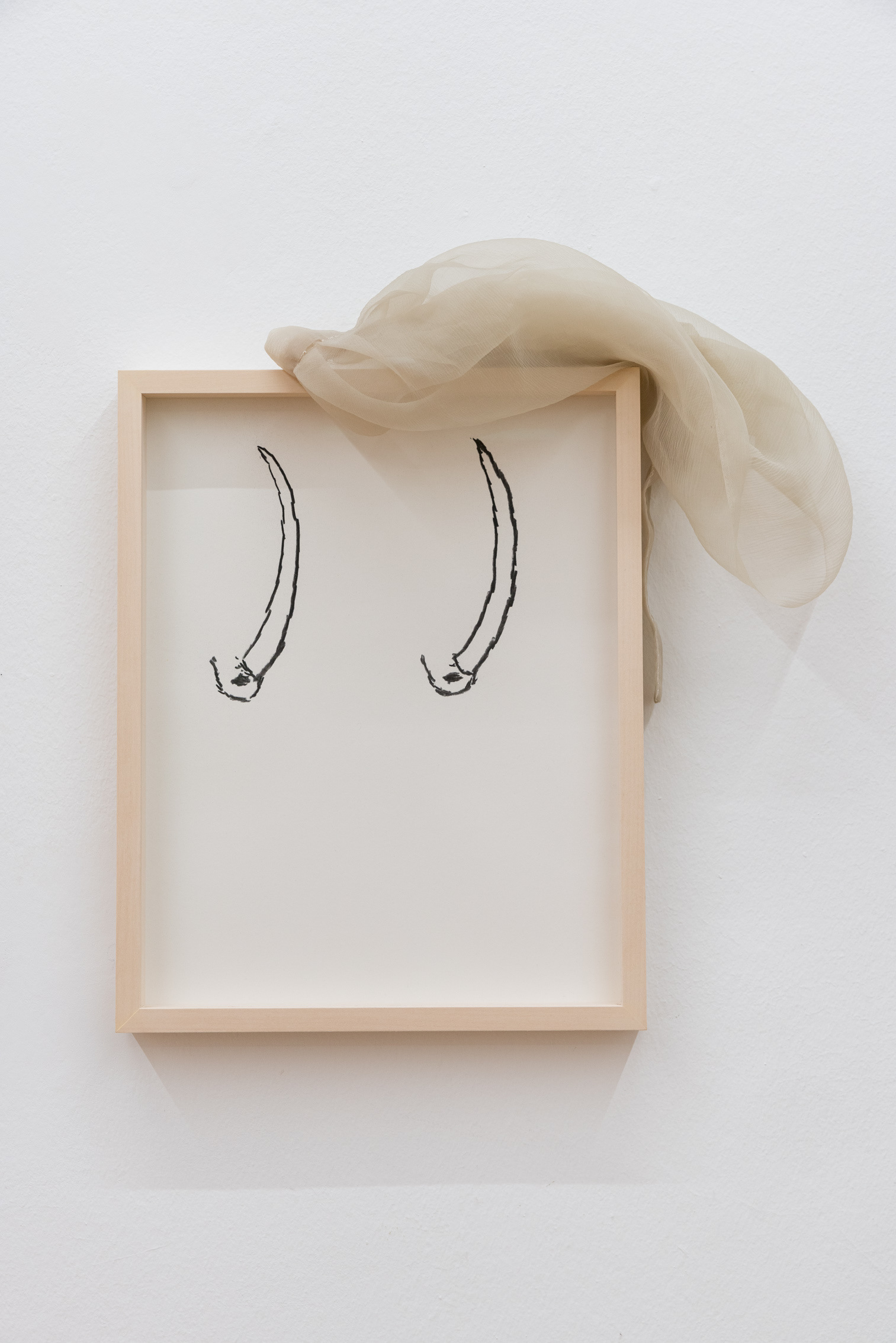 Nevena Aleksovski, Tenderness Drawing Series IV, 2023, charcoal on paper,  31 x 39 cm