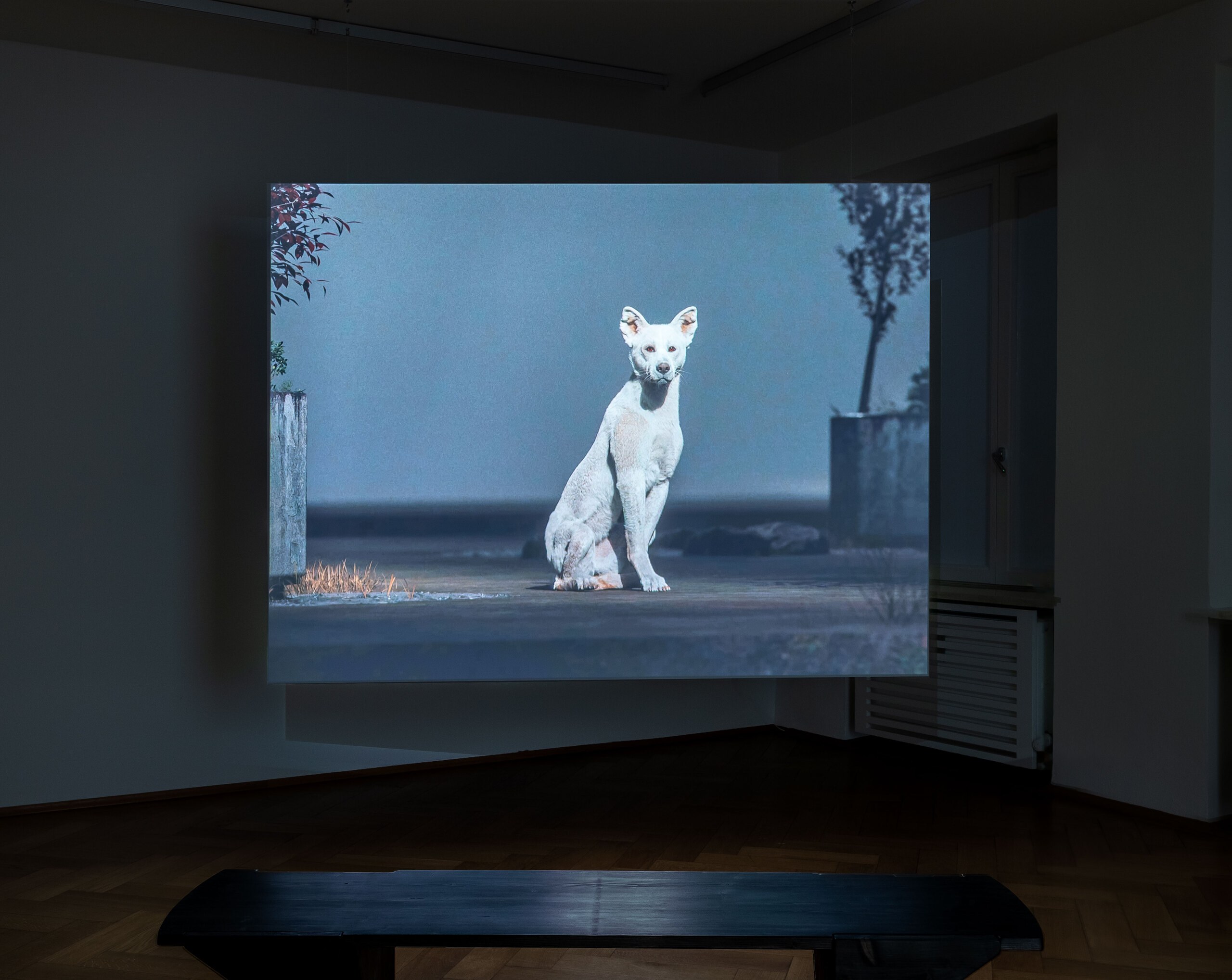 Installation view, Paul Valentin: Tacit Call, 2023, Britta Rettberg.
