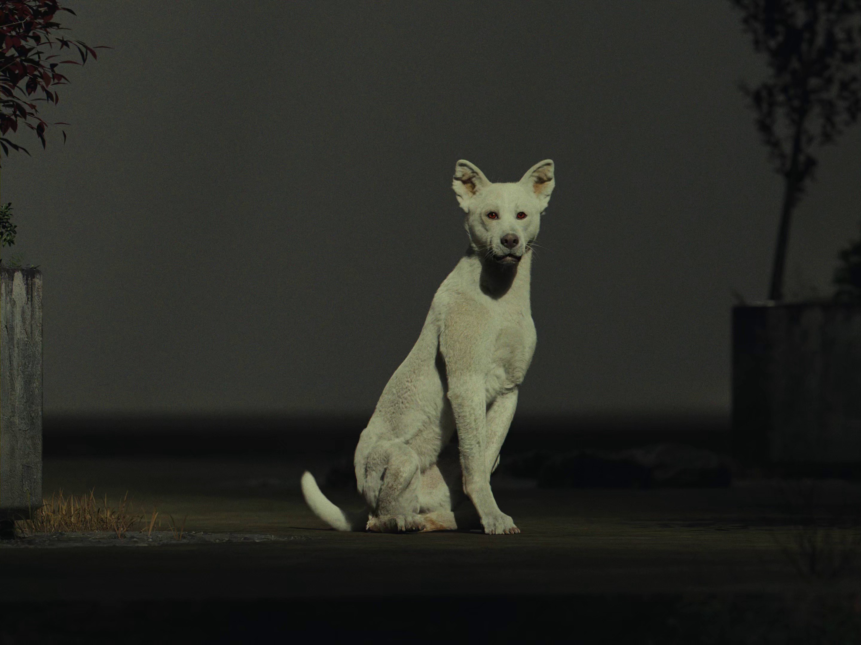 Paul Valentin, Tacit Call (still), 2023, three-channel video installation (30 min., 4:3), stereo sound, synced