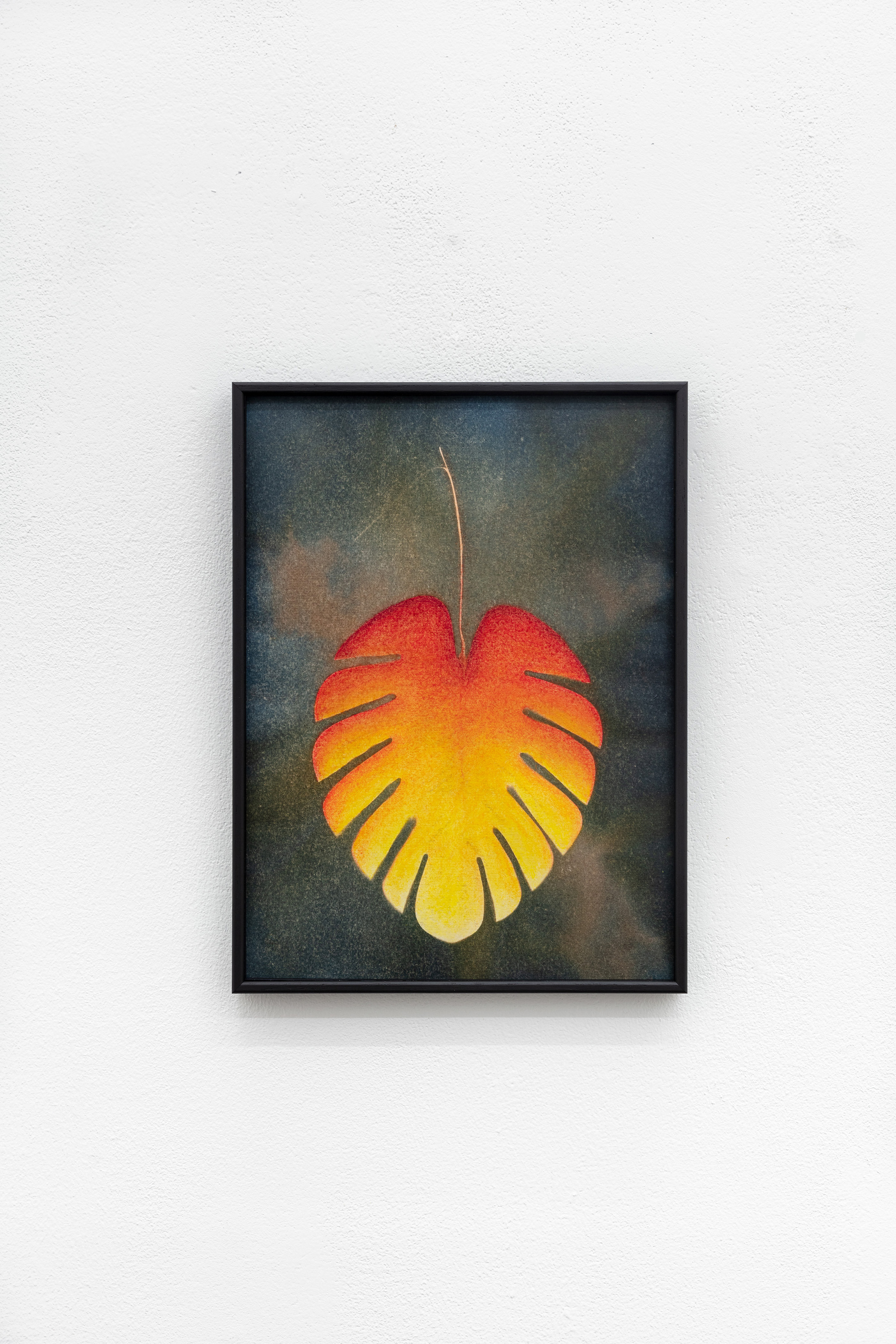 Veronika Hilger, Untitled, 2023, cyanotype, pastel chalk, 31 Ă 23 cm, VH/P 128