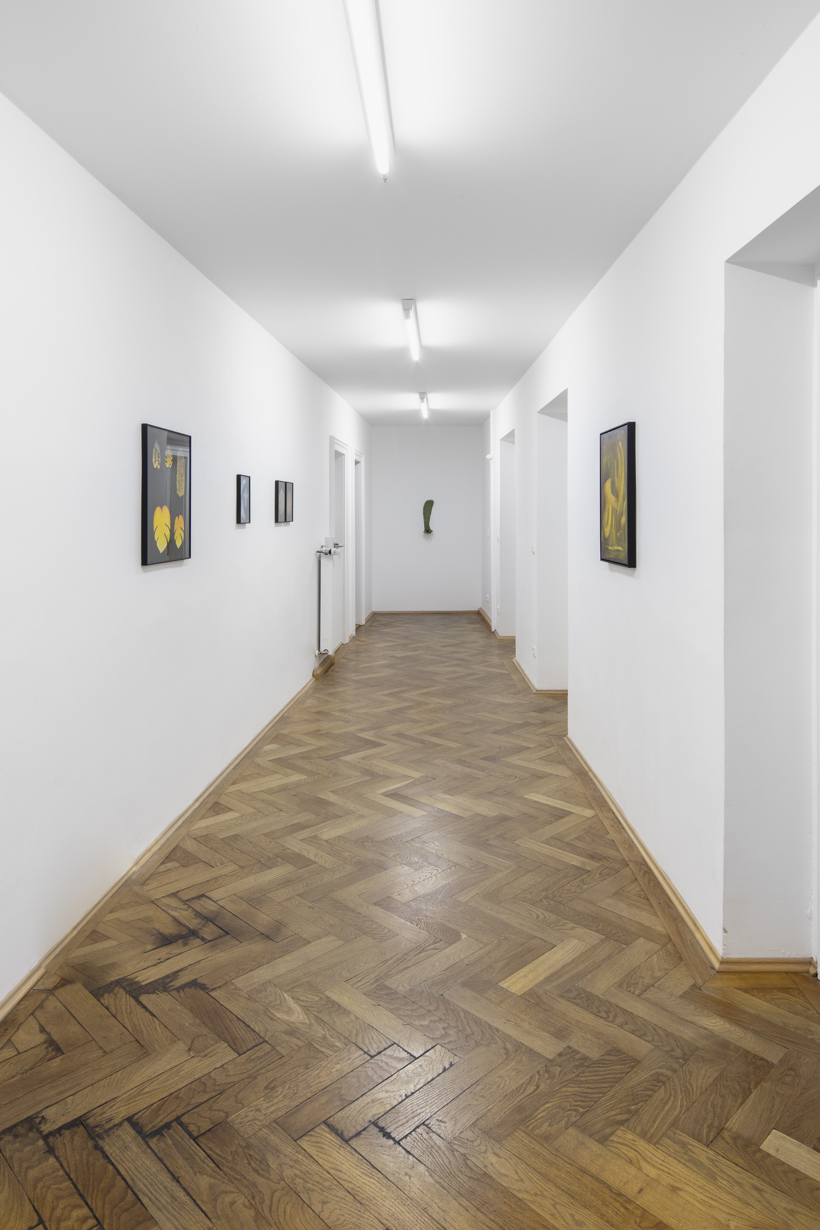 Veronika Hilger, Perpetual Dawn, 2023, installation view at Sperling, Munich