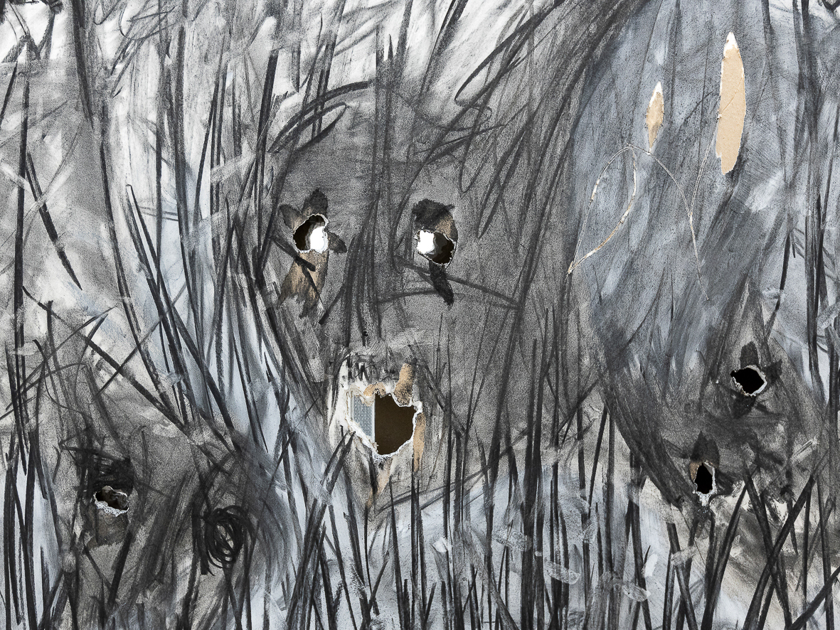 “Gli alberi muoiono in piedi” (The trees die standing). Detail, 2023