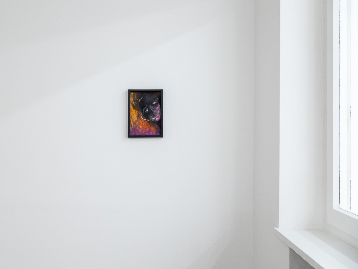 Exhibition view, 2023