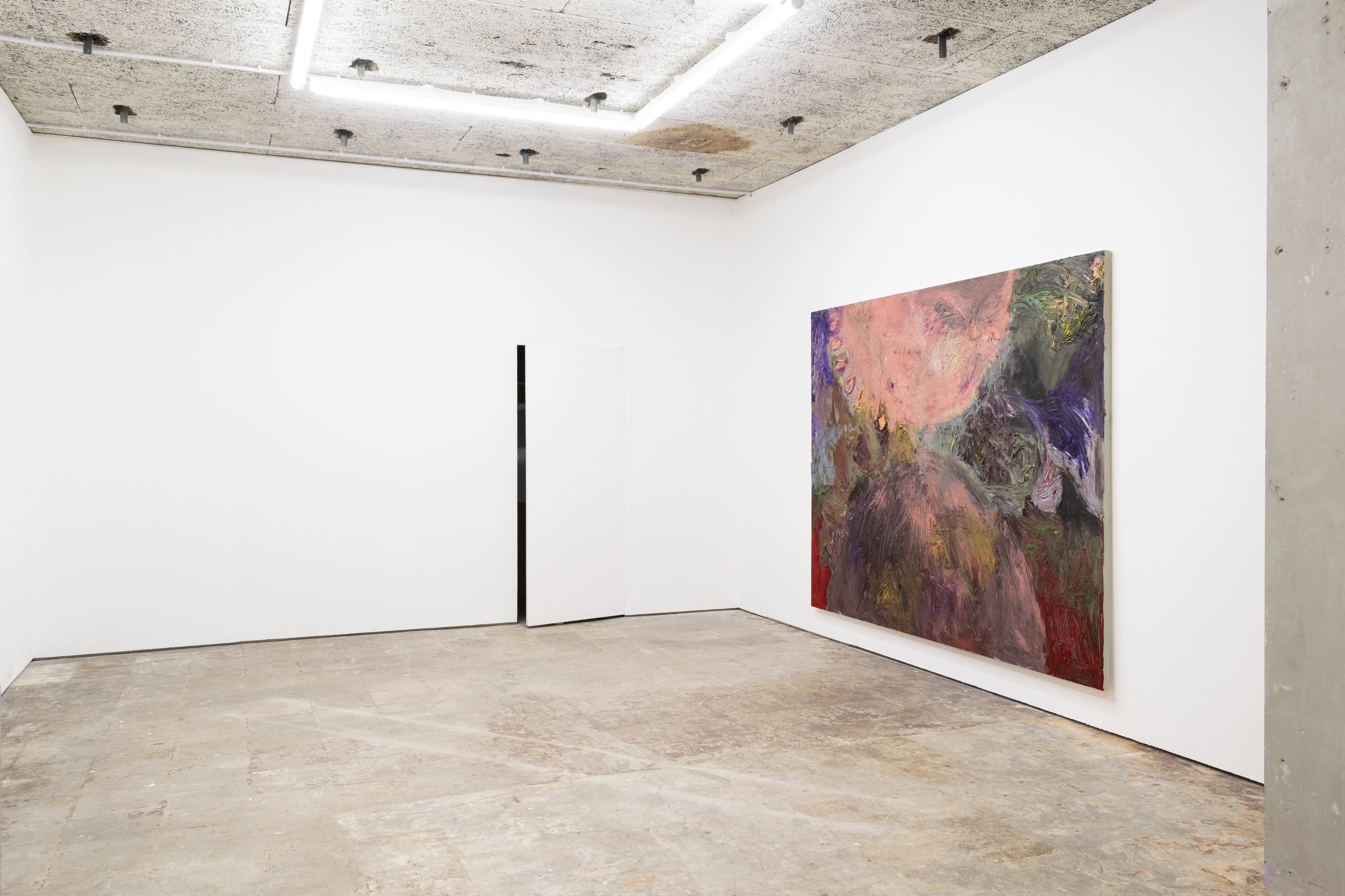 Installation view