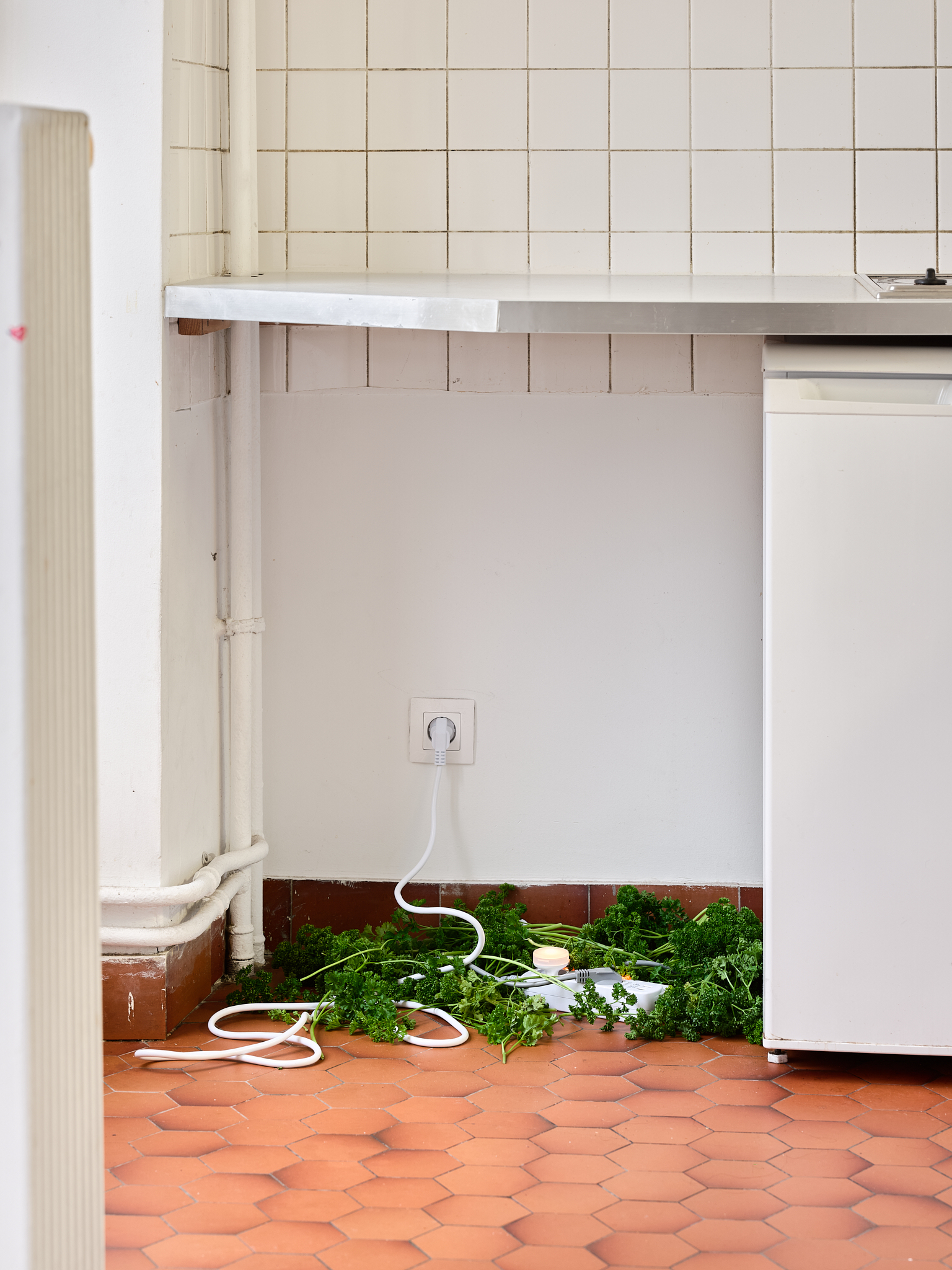 Andréa Spartà, parsley, powerstrip, nightlight, exhibition view