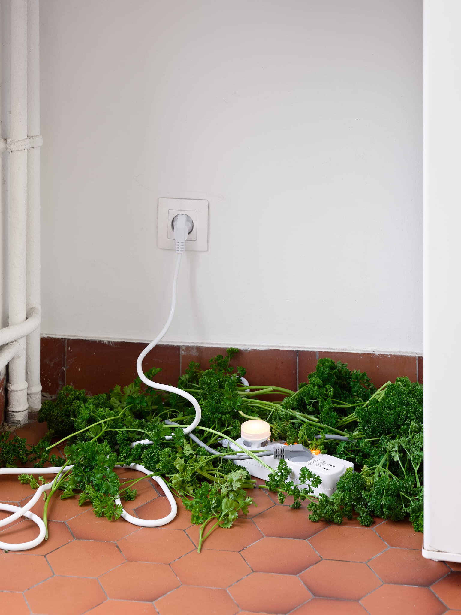 Andréa Spartà, parsley, powerstrip, nightlight, exhibition view 