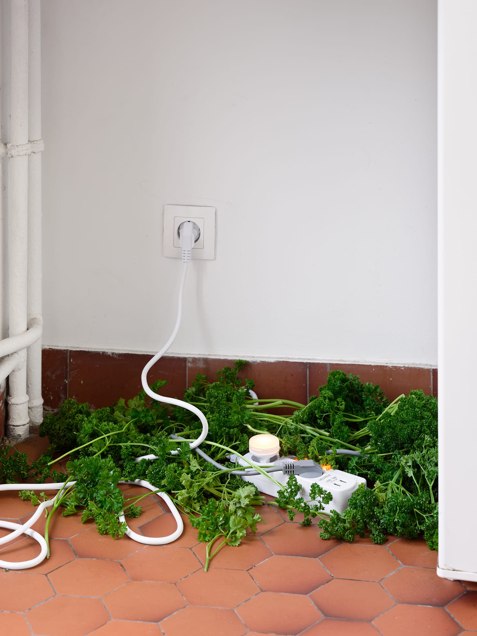 Andréa Spartà, parsley, powerstrip, nightlight, exhibition view