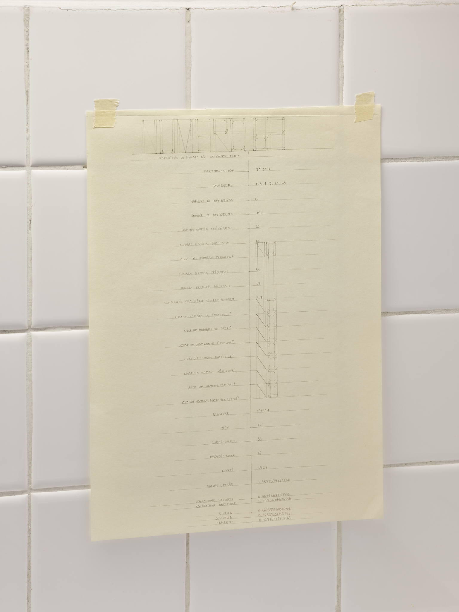 Francesca Brugola, pencil on paper, exhibition view