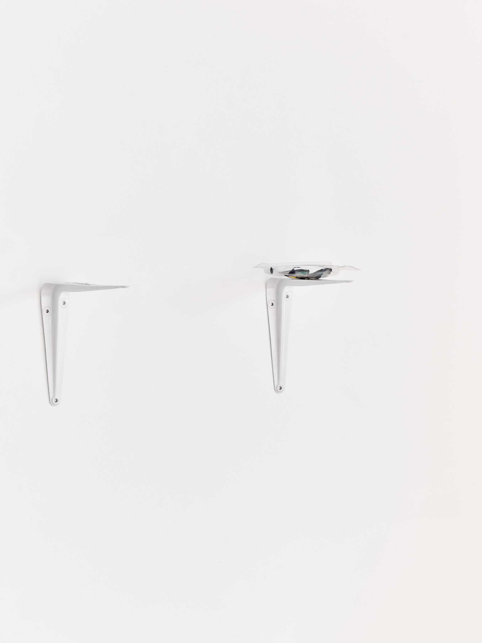 Andréa Spartà, shelve brackets, fishing lure, plastic packaging, exhibition view