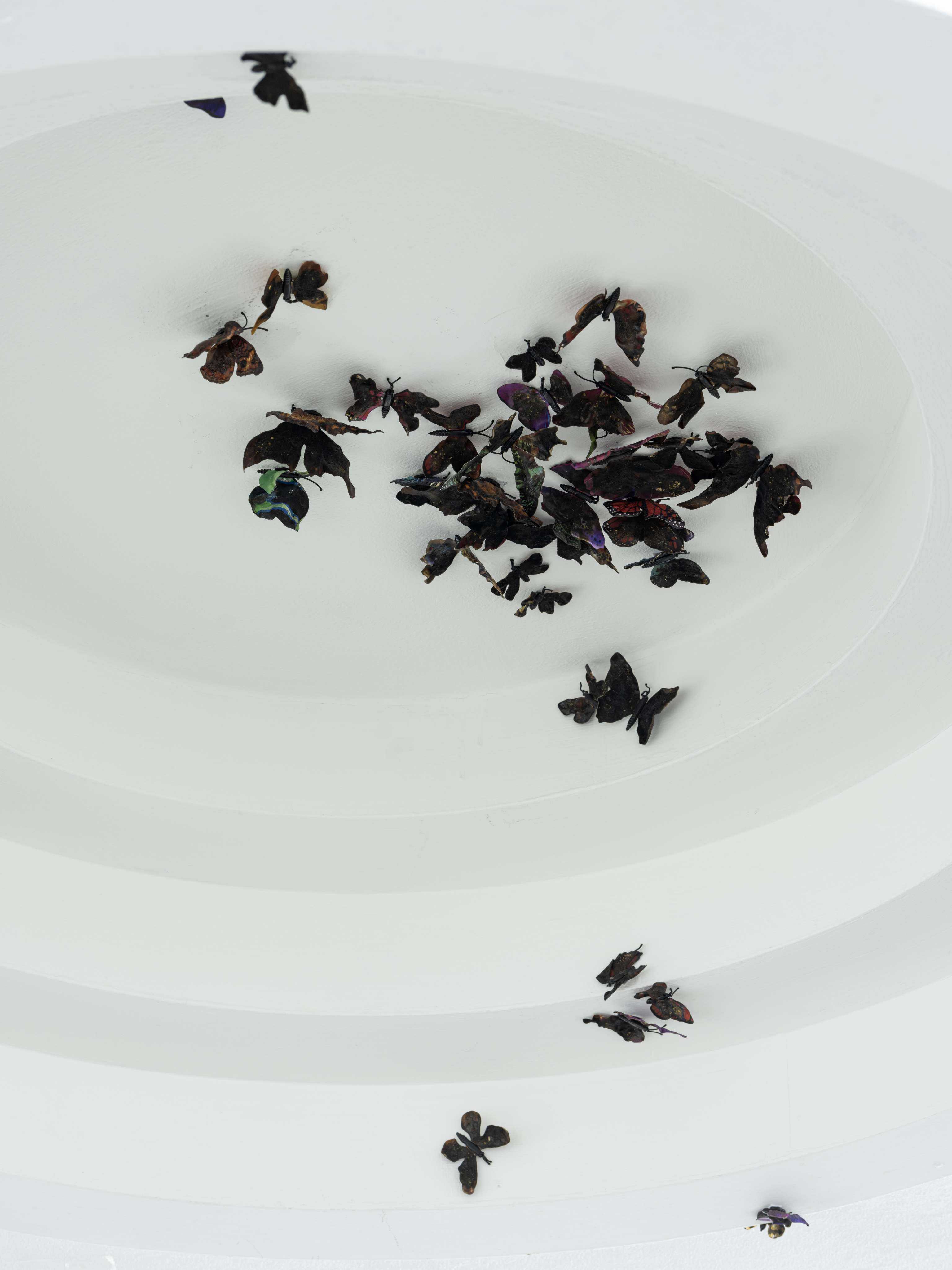 Installation picture (burned plastic butterflies)