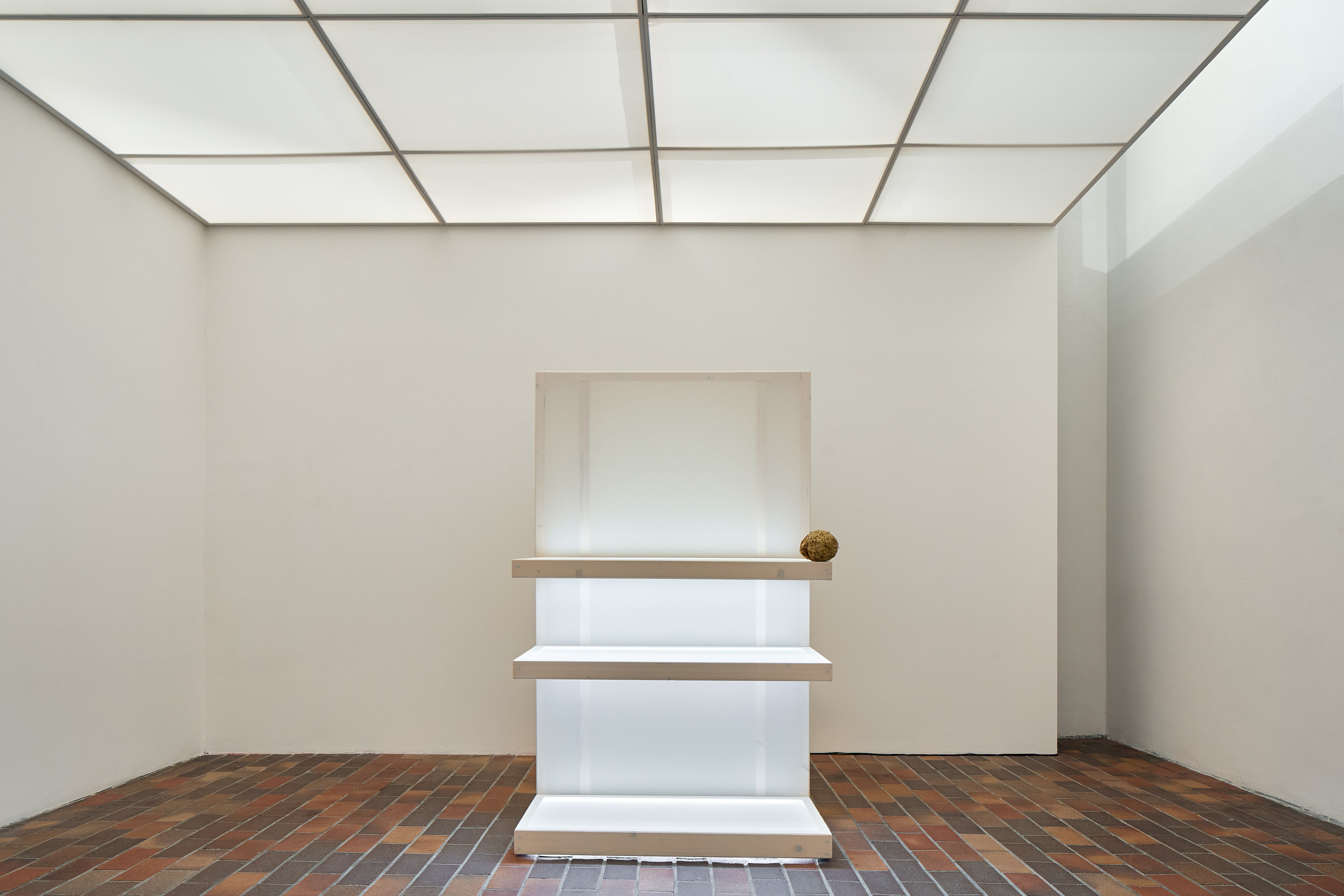 12_Jakub Jansa, The Garden Of Problems, GHMP, Install view