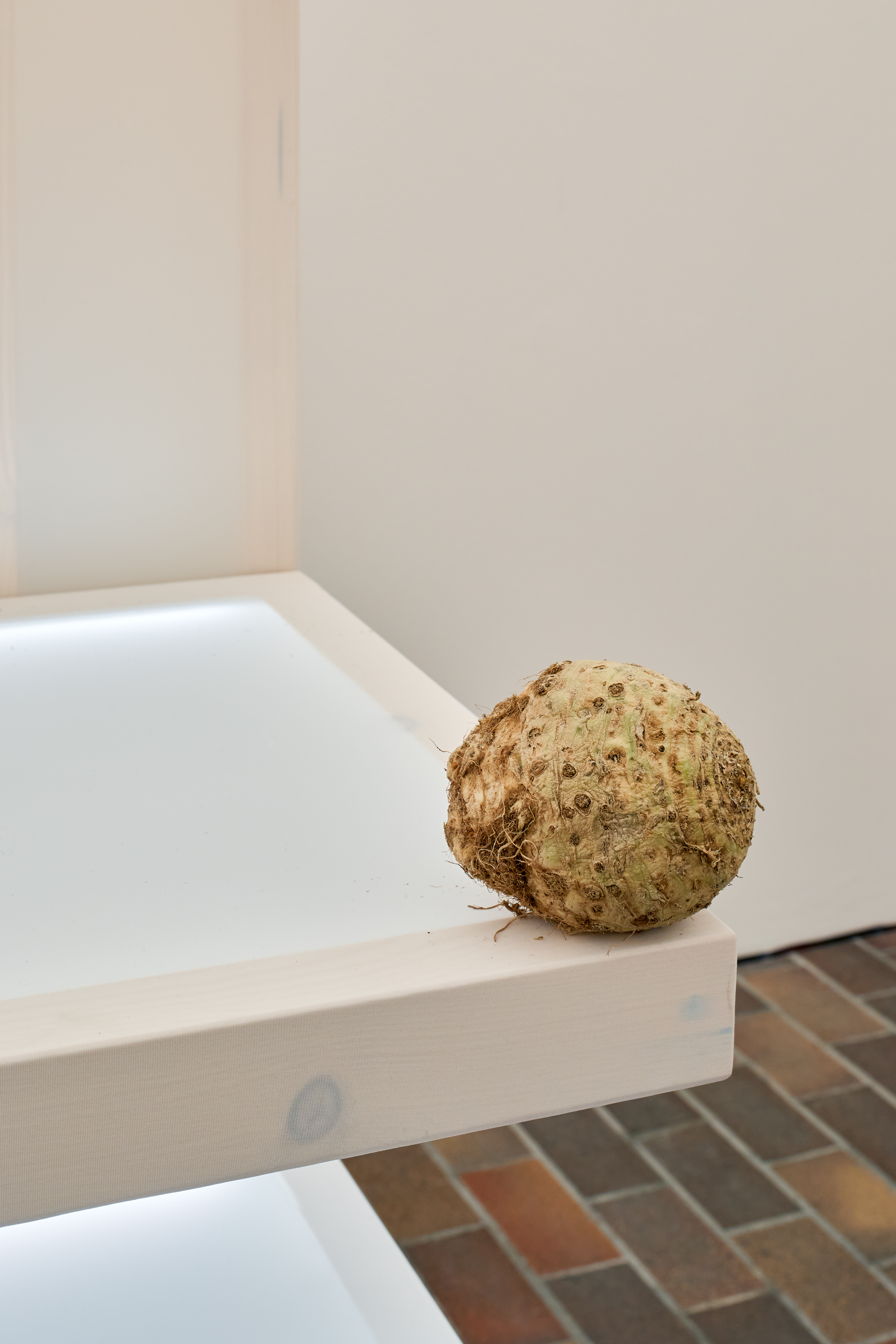 14_Jakub Jansa, The Garden Of Problems, GHMP, Install view