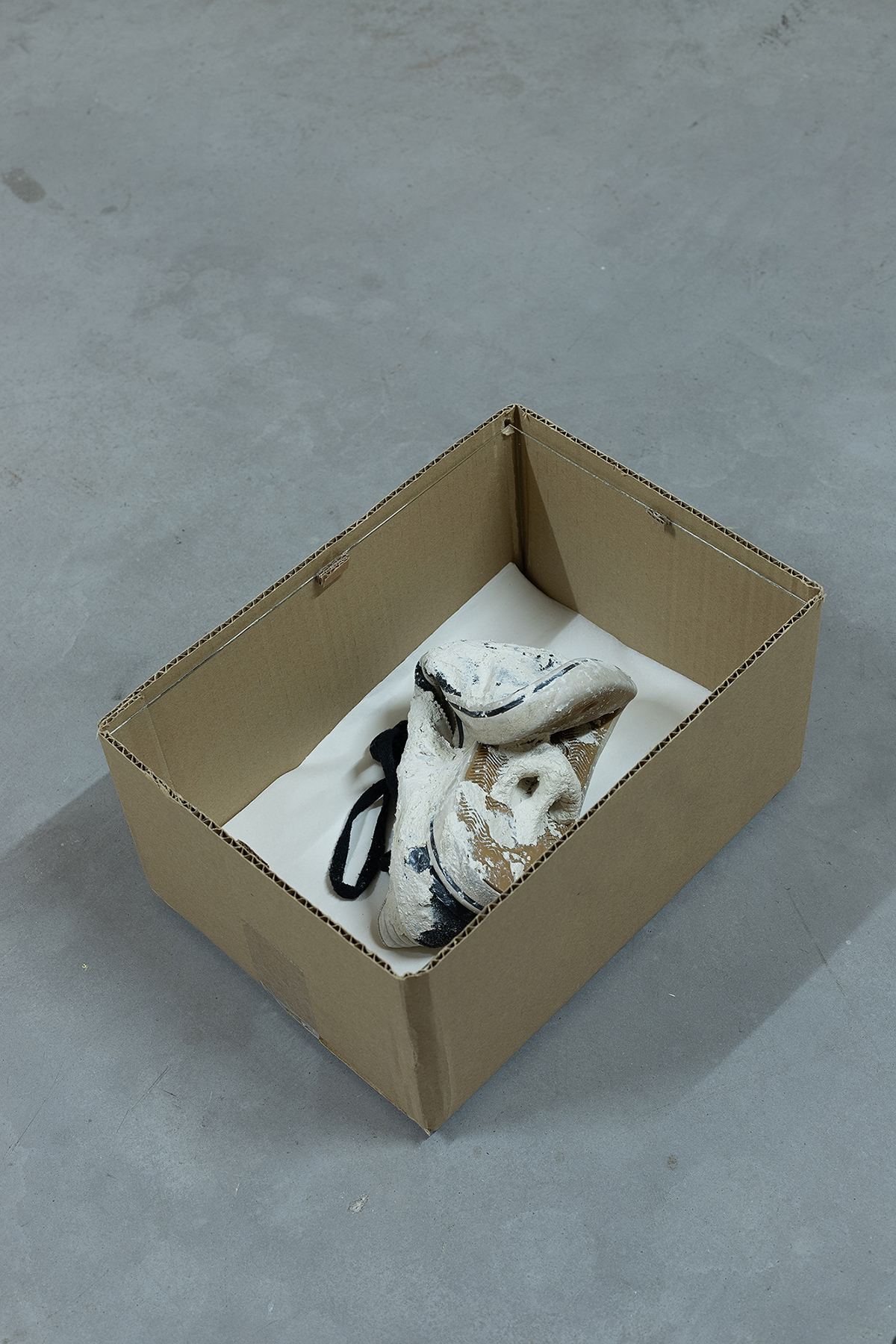 Ian Waelder. A Nose Is A Nose Is A Nose (Injured Bird, The Streets Are Still The Same), 2023. Used sneaker, papier-mache, tissue paper, cardboard box and sheet of anti-reflective glass. 31,5 x 23,5 x 15 cm
