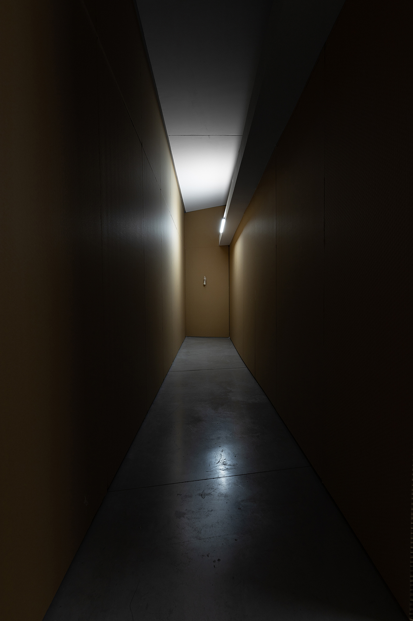 Install view of "even in a language that is not your own", solo exhibition by Ian Waelder at Es Baluard Museu d'Art Contemporani de Palma (2024)