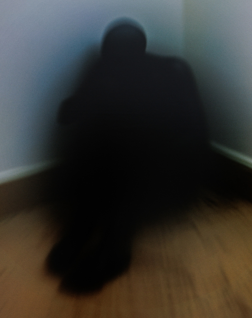 Alexey Ankheev, Shadow, 2023, Computer graphics, printing on photo paper, pvc, Details
