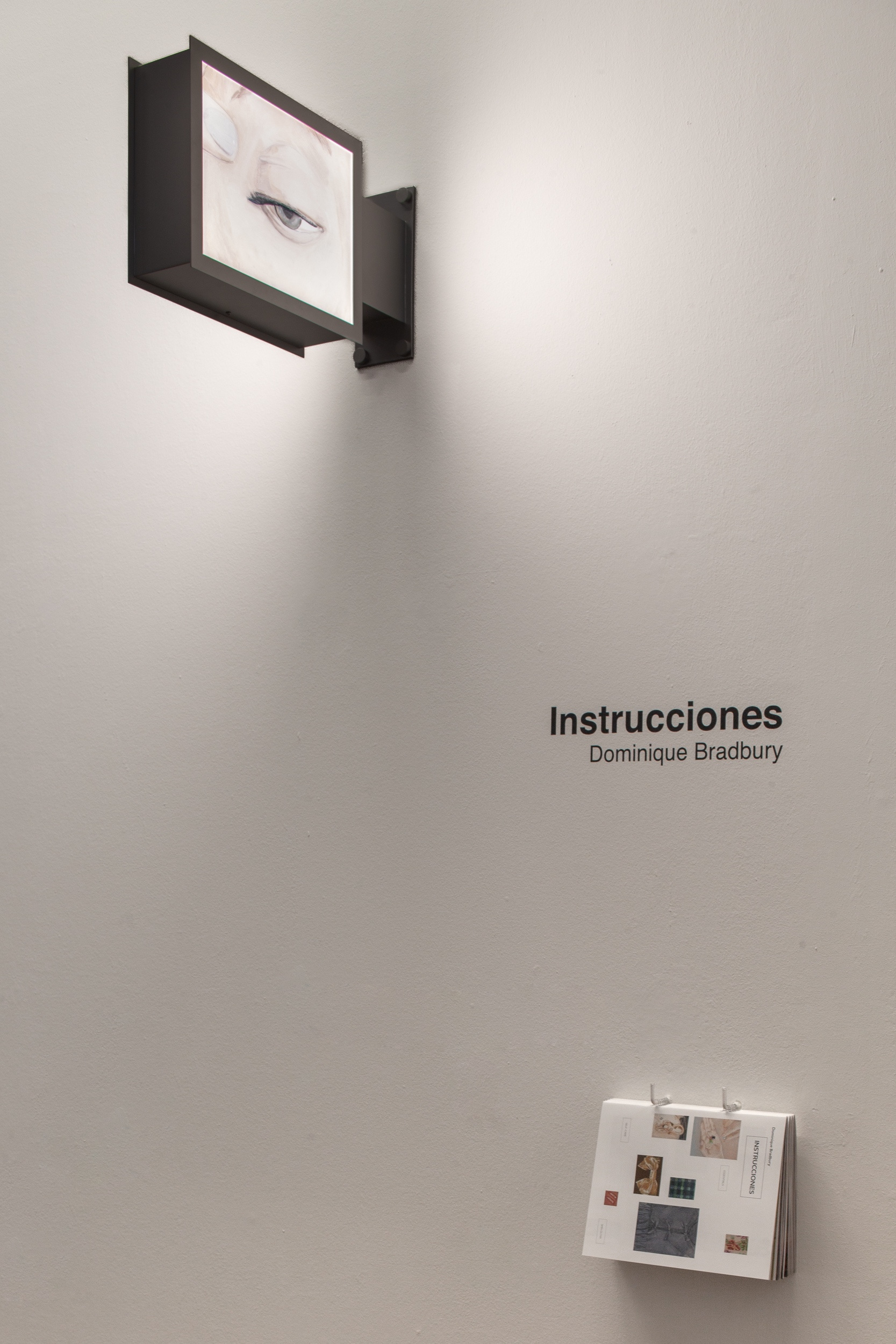 Instructions III, LED Lightbox mounted on metal frame, 23 x 40,2 x 10 cm, 2023