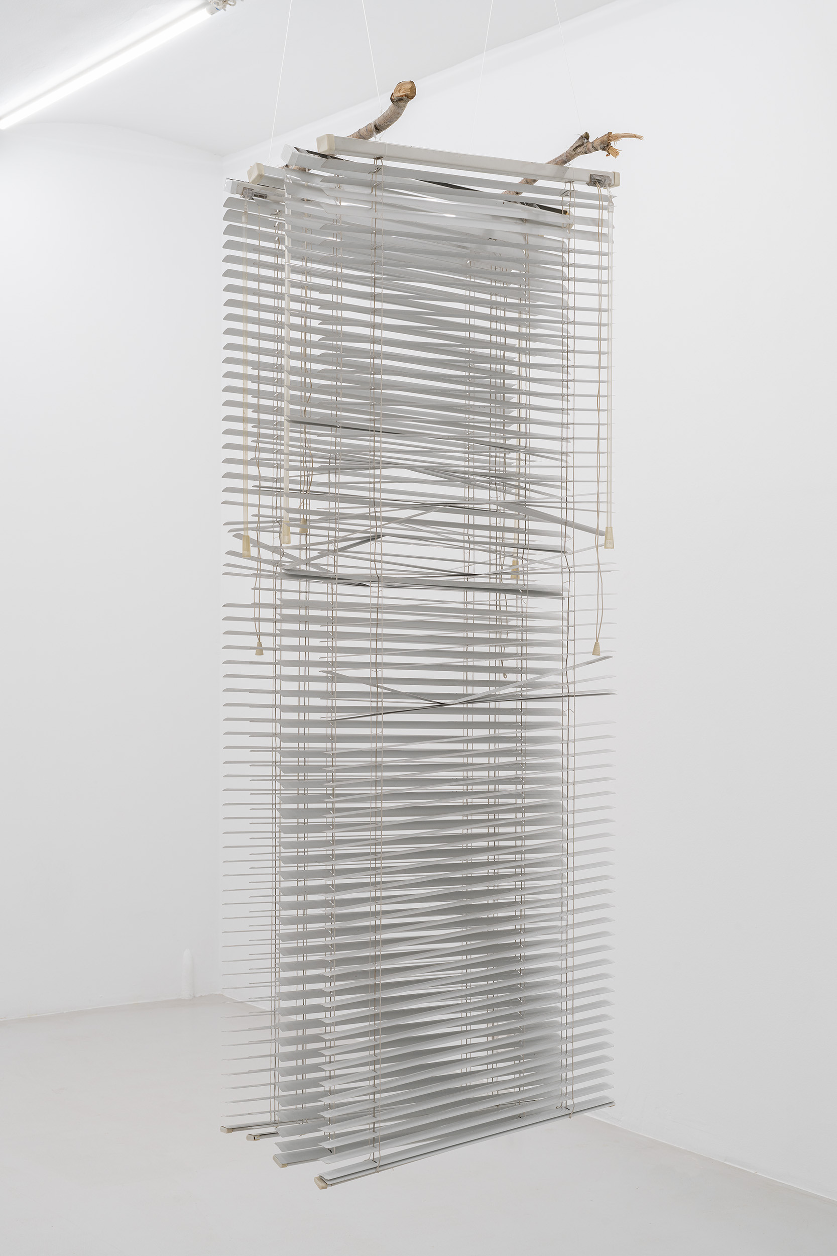 Focussing At The Point Nearest The Eyes, 2013.