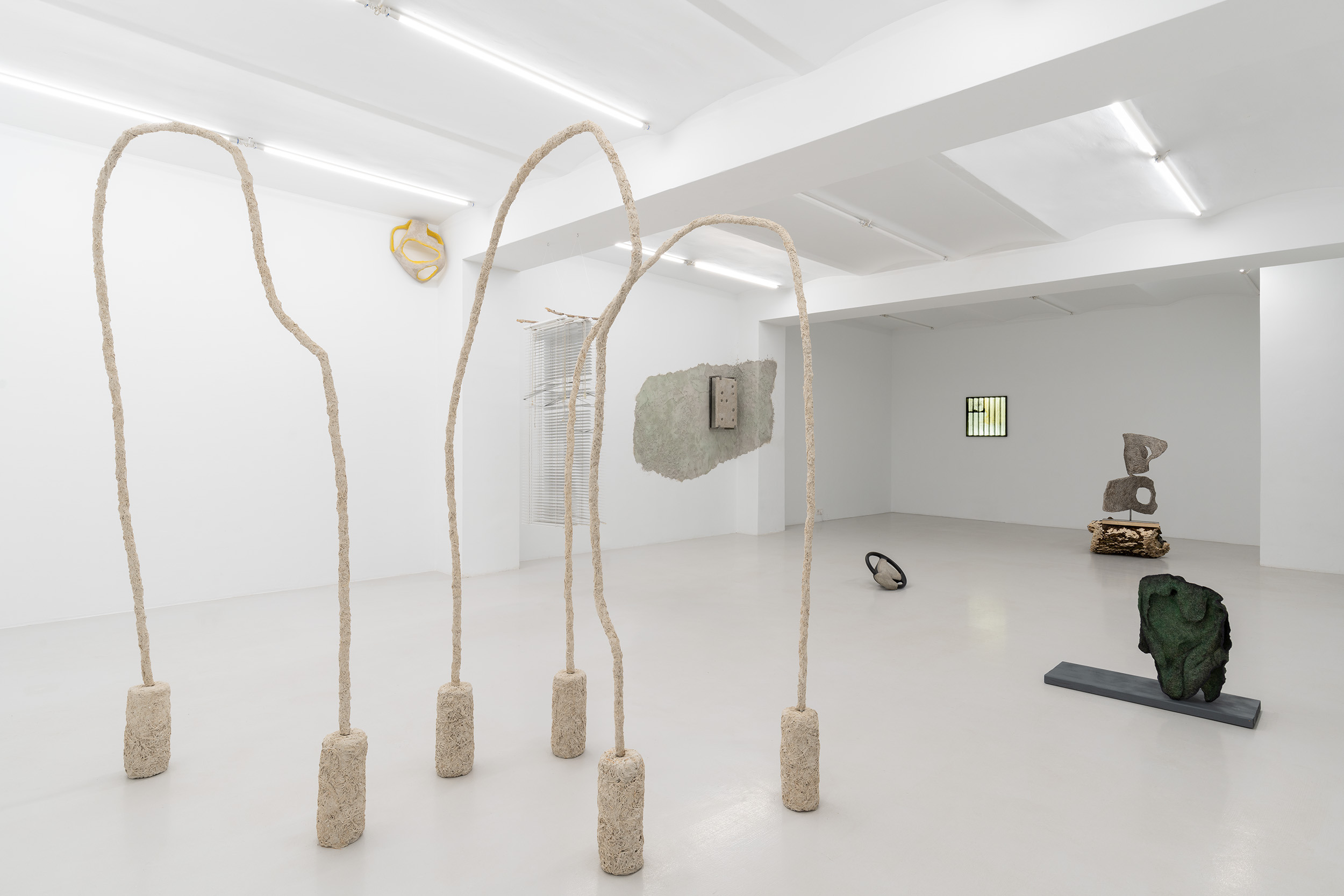 Exhibition view, "Shifting views", Gizela Mickiewicz, curator: Jagna Lewandowska.