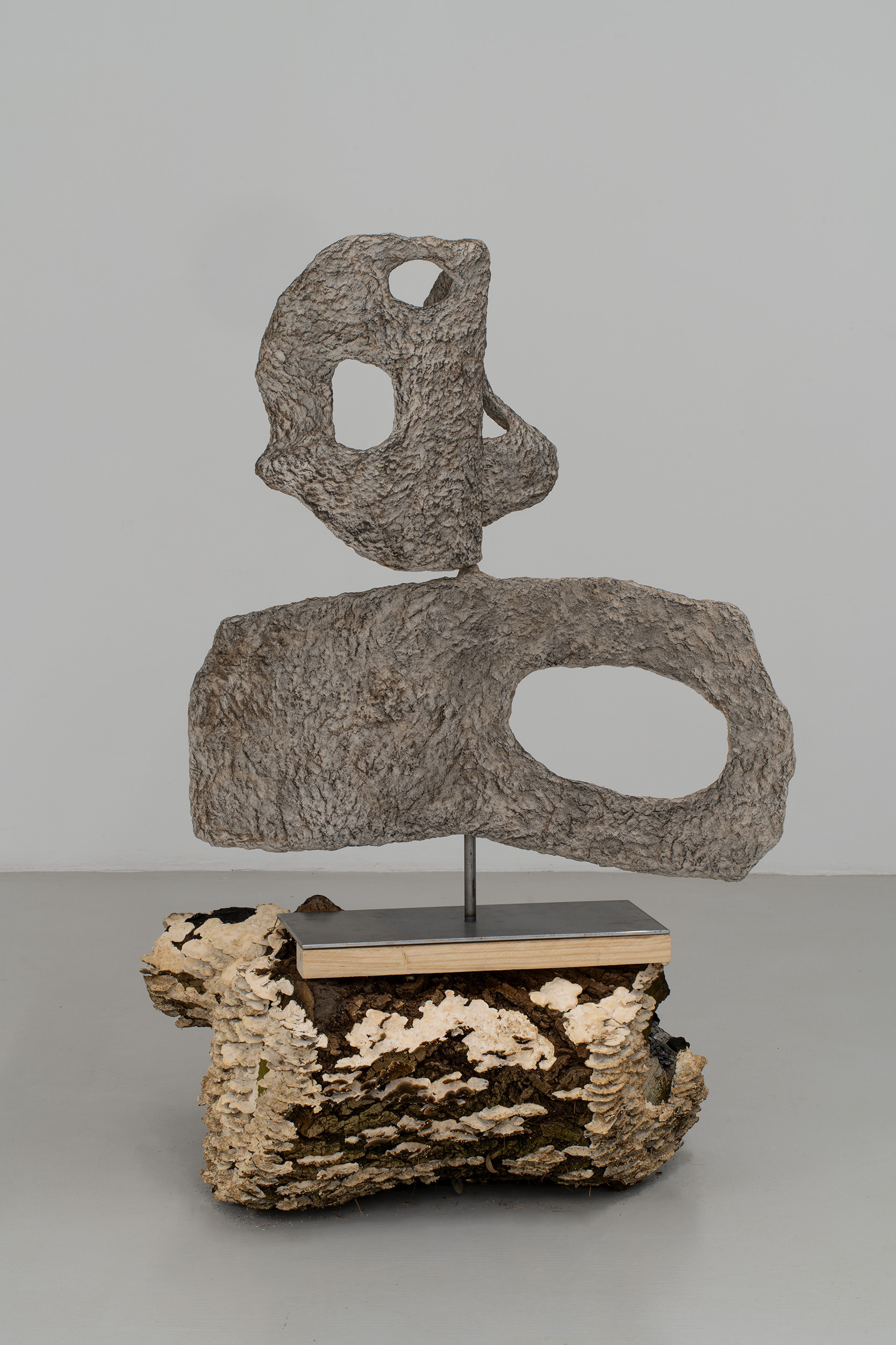 Fleeting Plans, 2023.