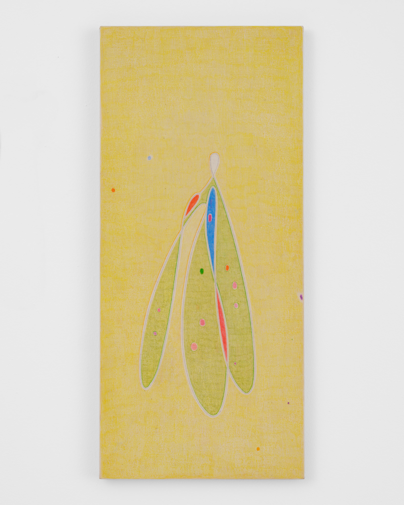 Marlon Kroll, Feathers, 2023
