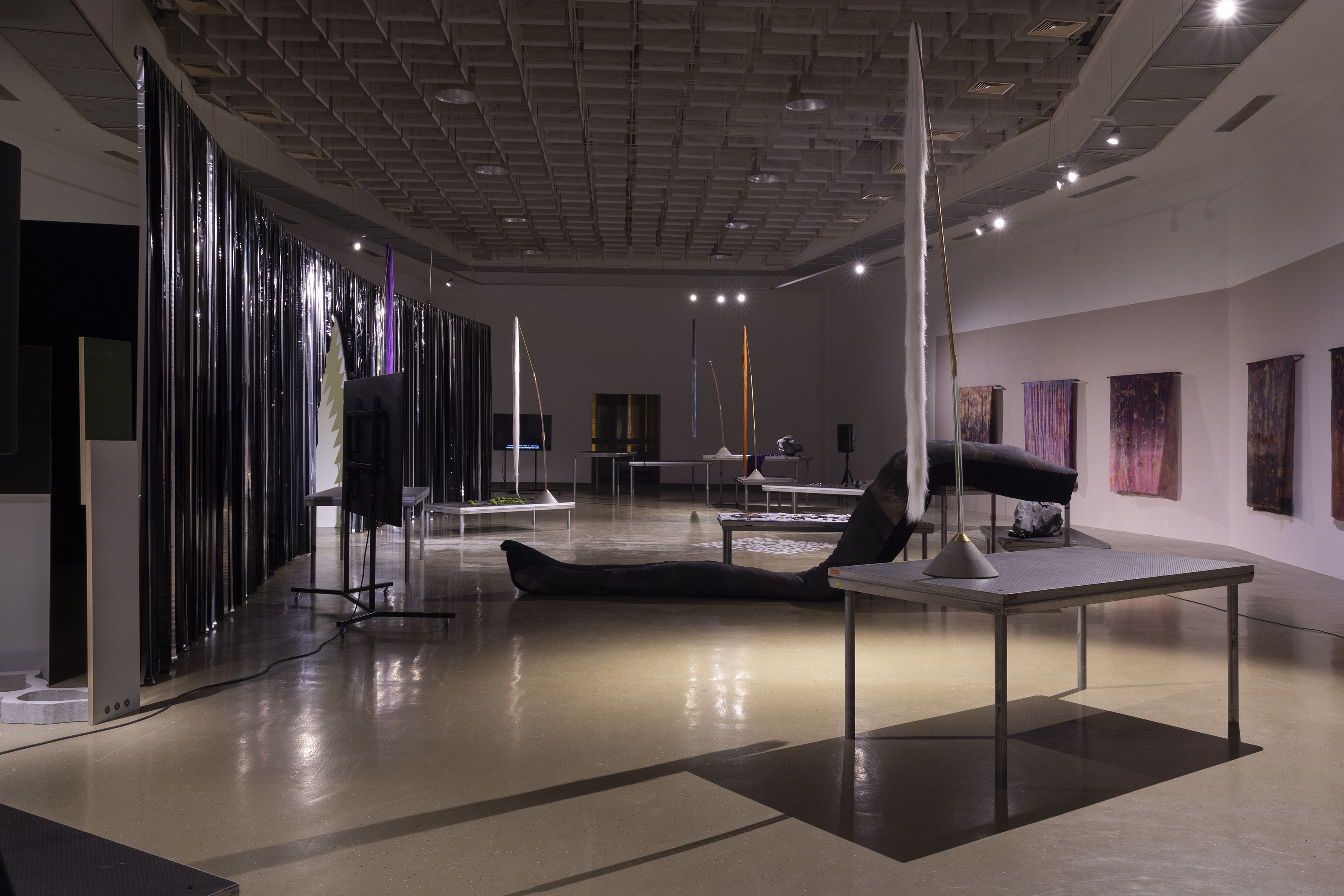 Installation view by Leontina Berkova