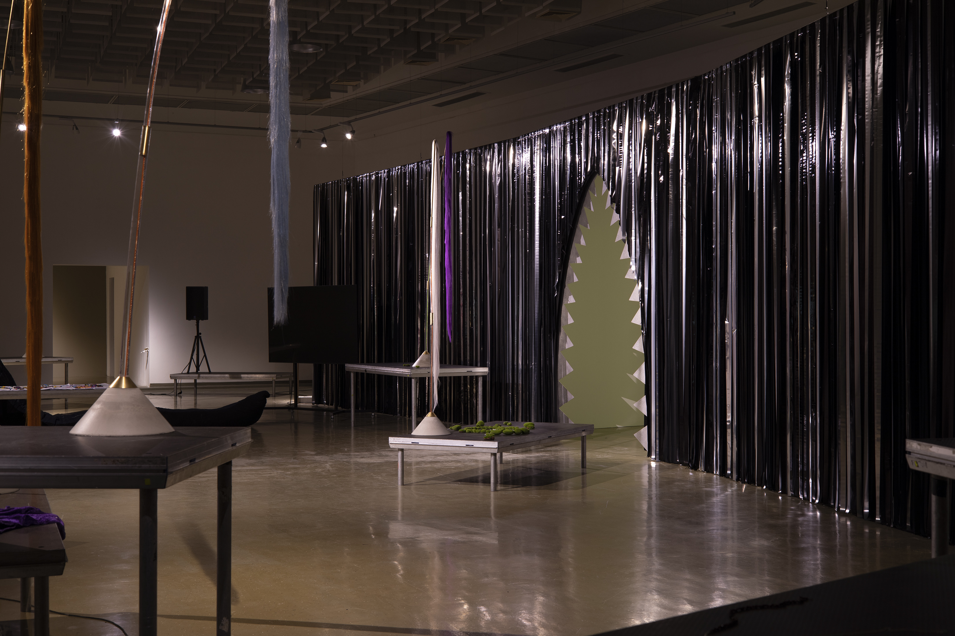 Installation view by Leontina Berkova