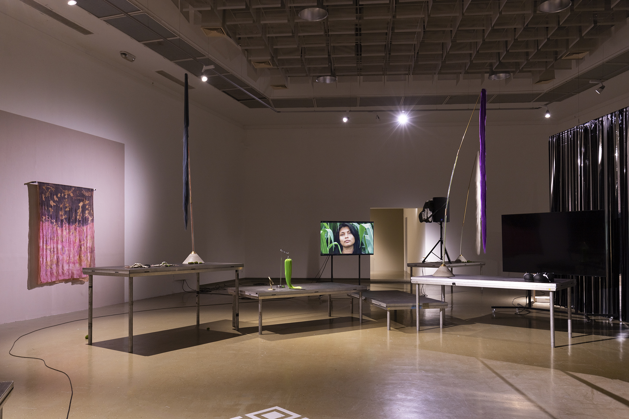 Installation view by Leontina Berkova