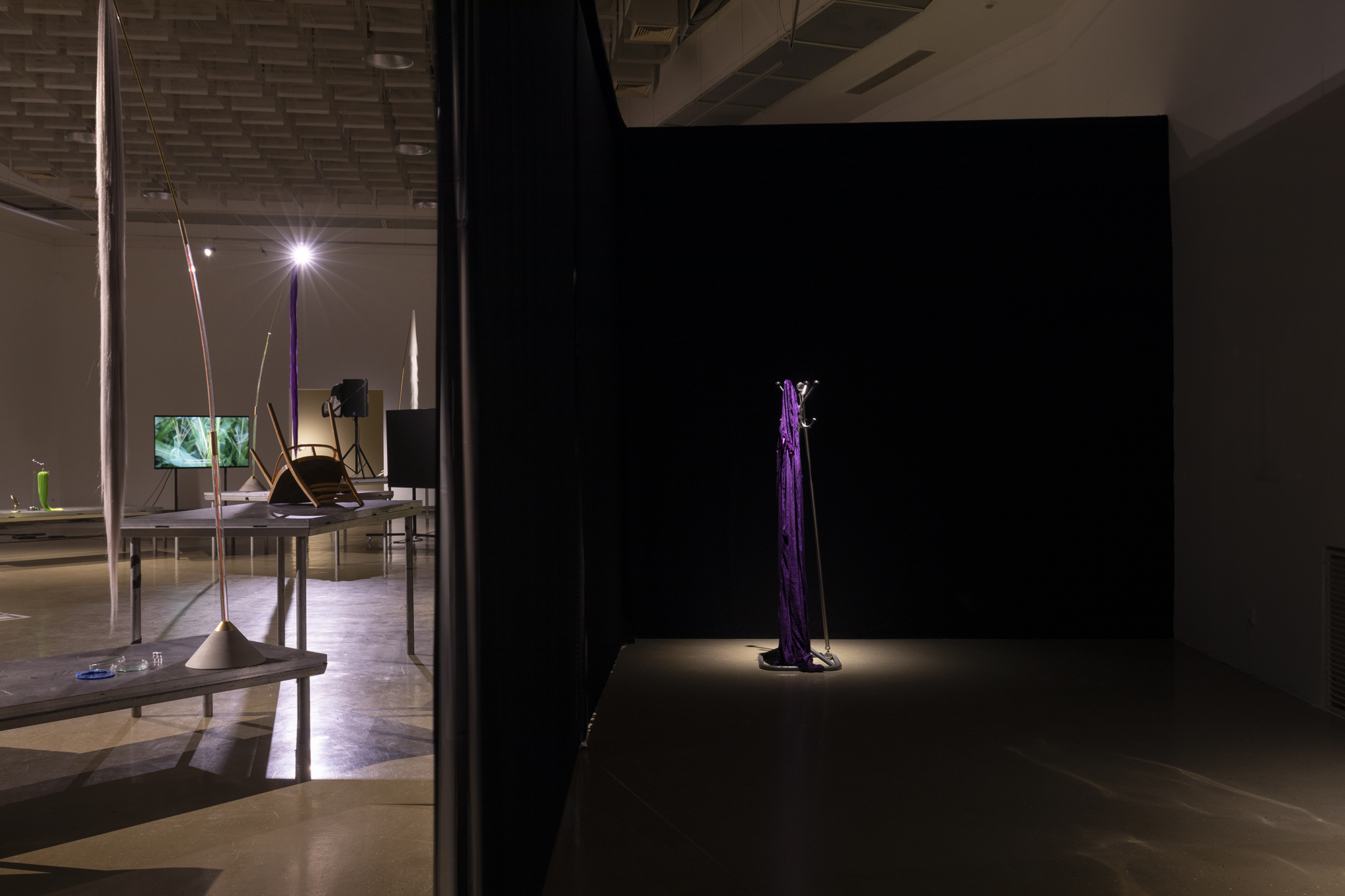 Installation view by Leontina Berkova