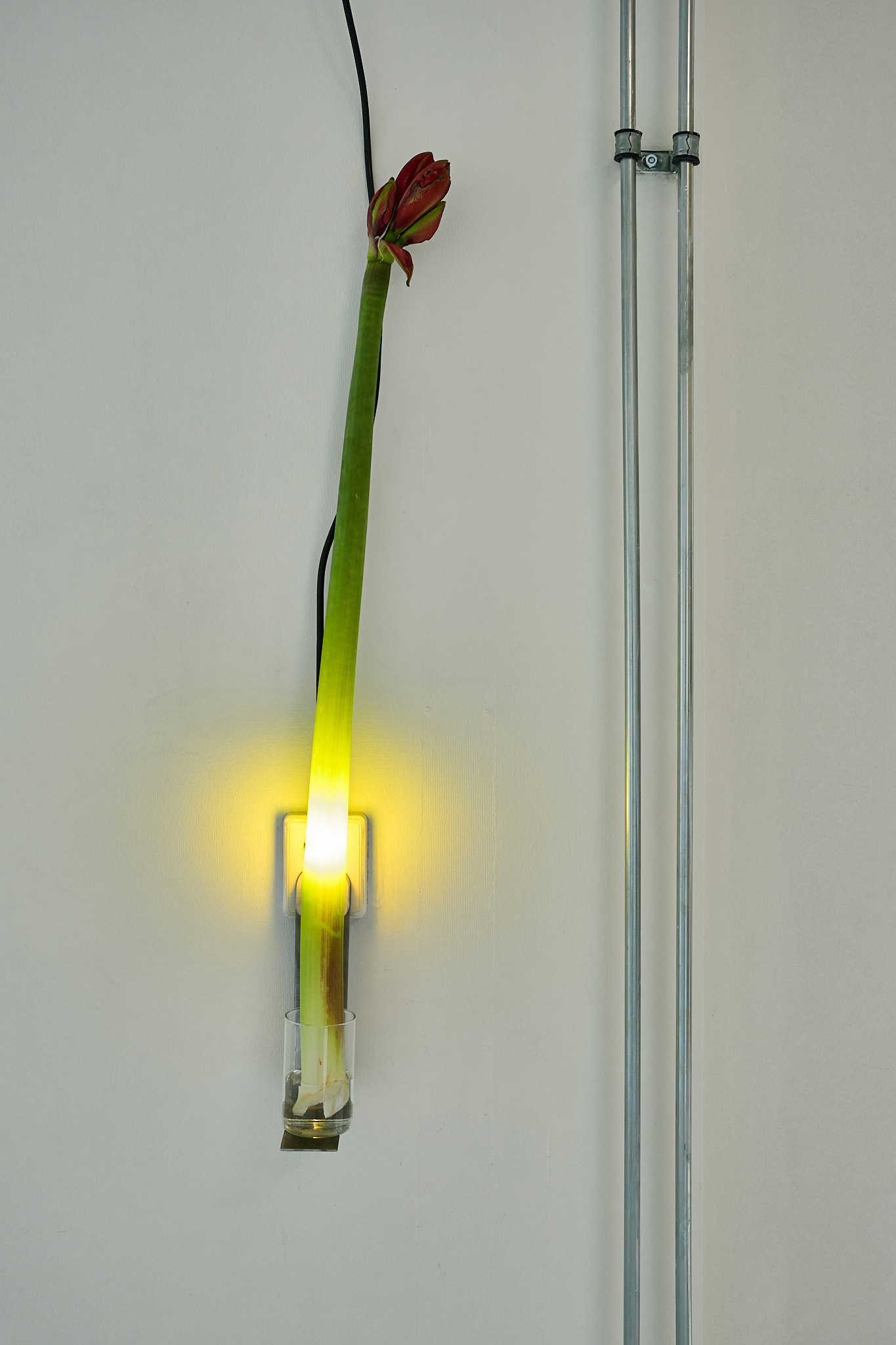 Vibeke Mascini, JOLT, A long distance lullaby, installation views and details, photograph by Chun-Han Chiang, P/////AKT, 2024