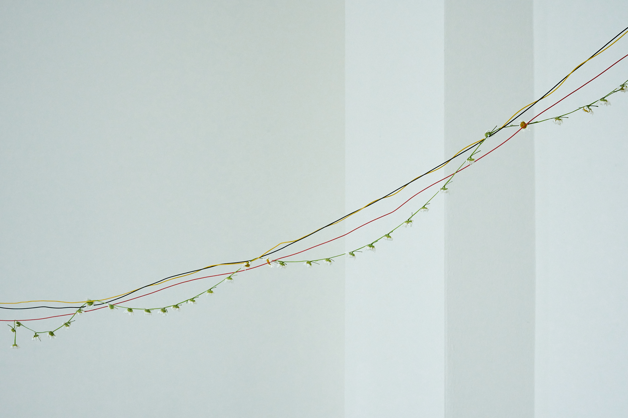 Vibeke Mascini, JOLT, A long distance lullaby, installation views and details, photograph by Chun-Han Chiang, P/////AKT, 2024