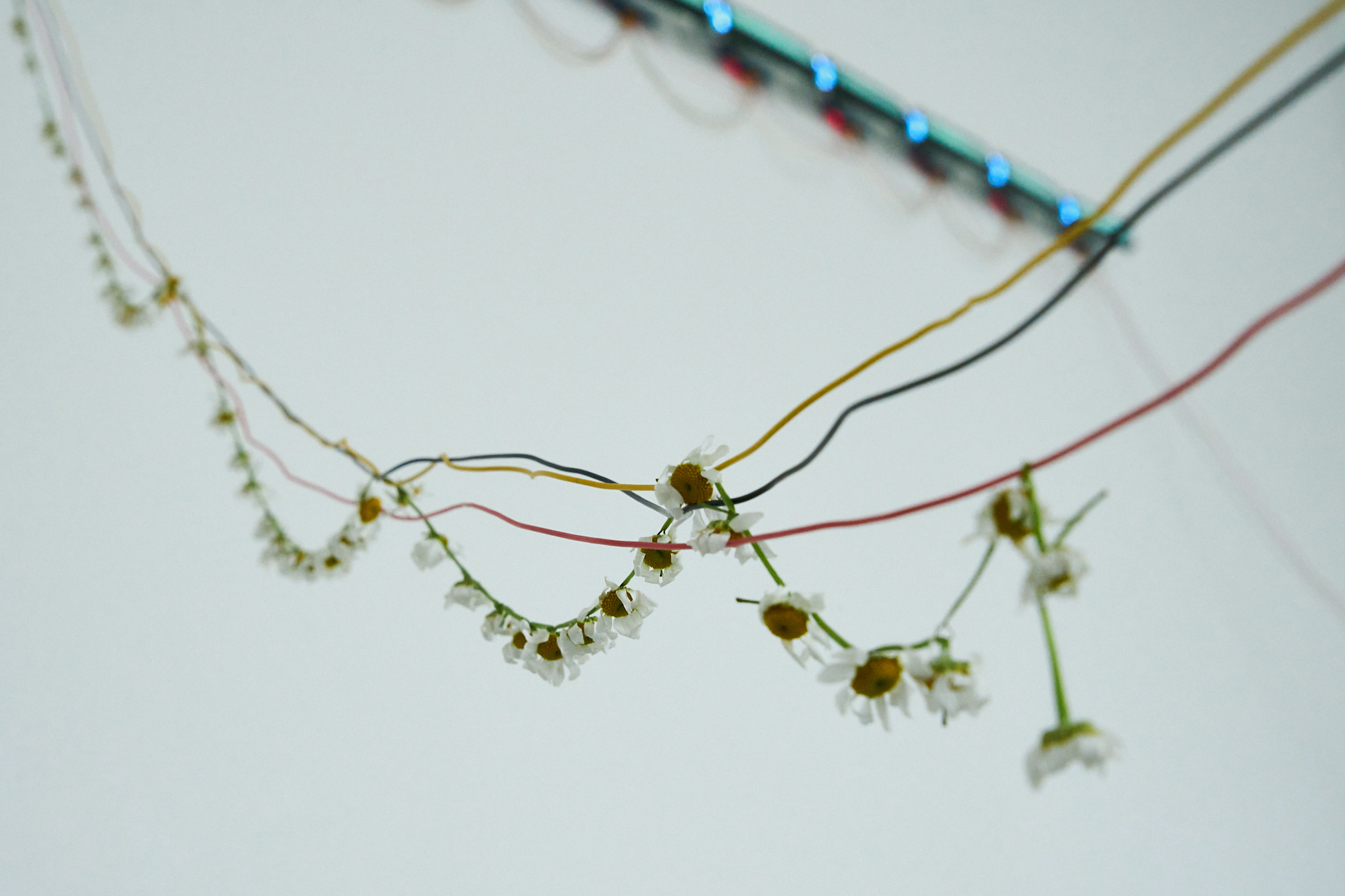 Vibeke Mascini, JOLT, A long distance lullaby, installation views and details, photograph by Chun-Han Chiang, P/////AKT, 2024