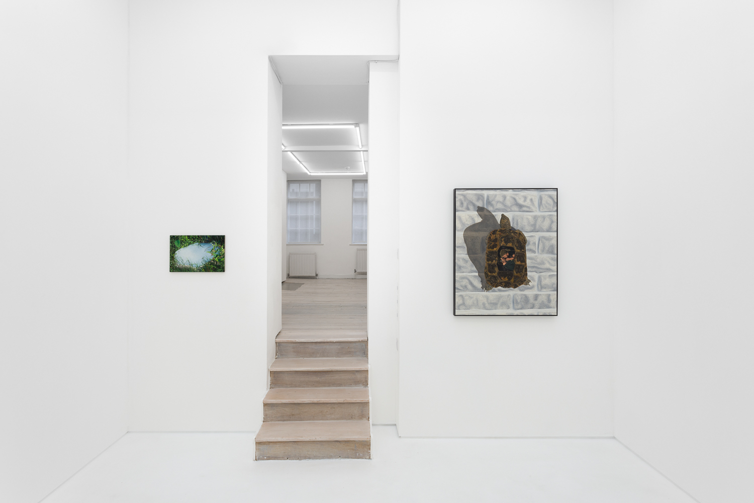 Installation shot