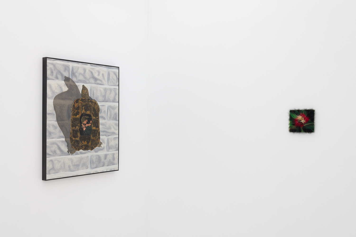 Installation shot