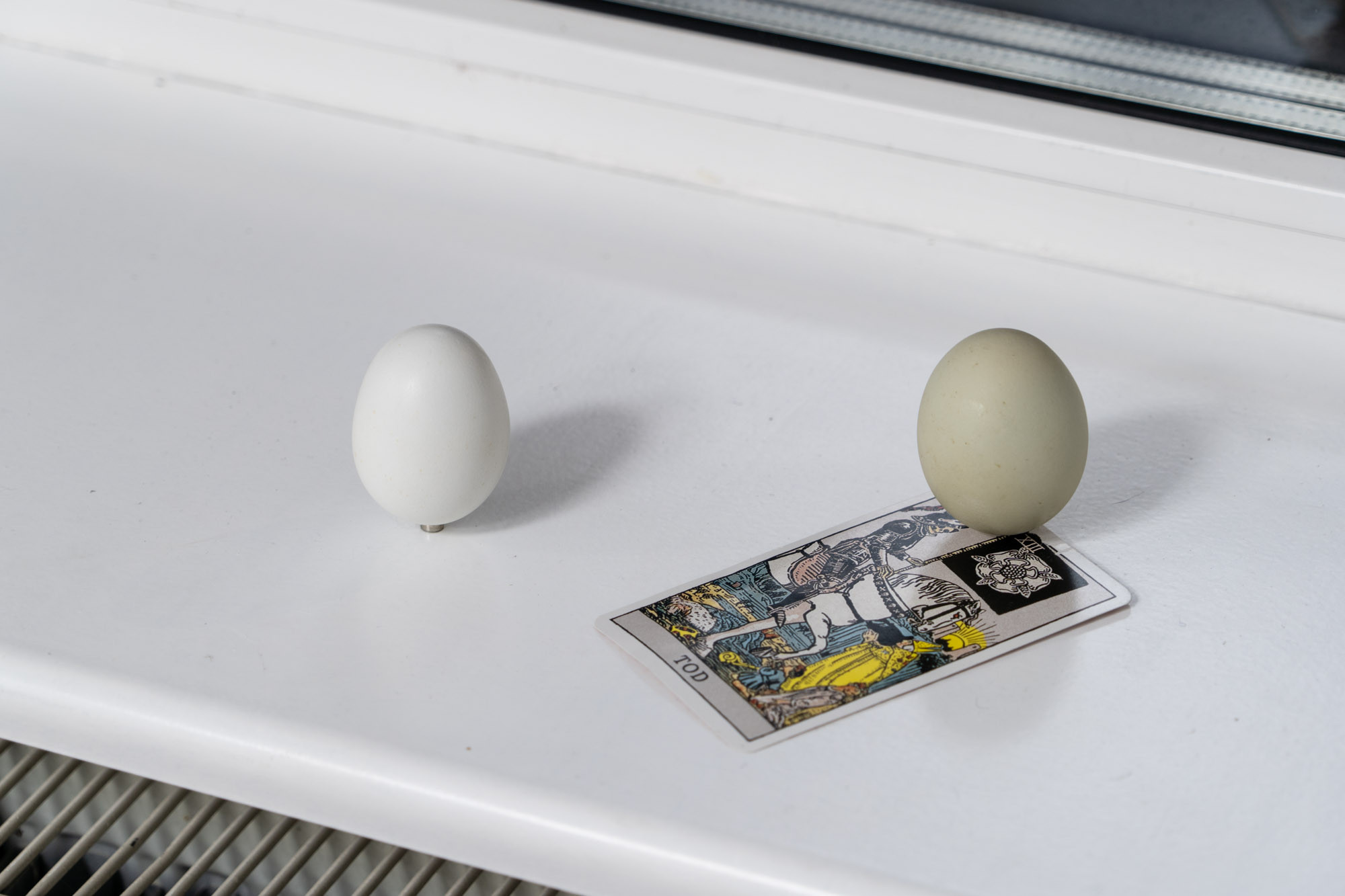 EGGS AND DEATH TAROT CARD by Isidora Gilardi / kollonka hen eggs, tarot card / variable dimensions / 2018