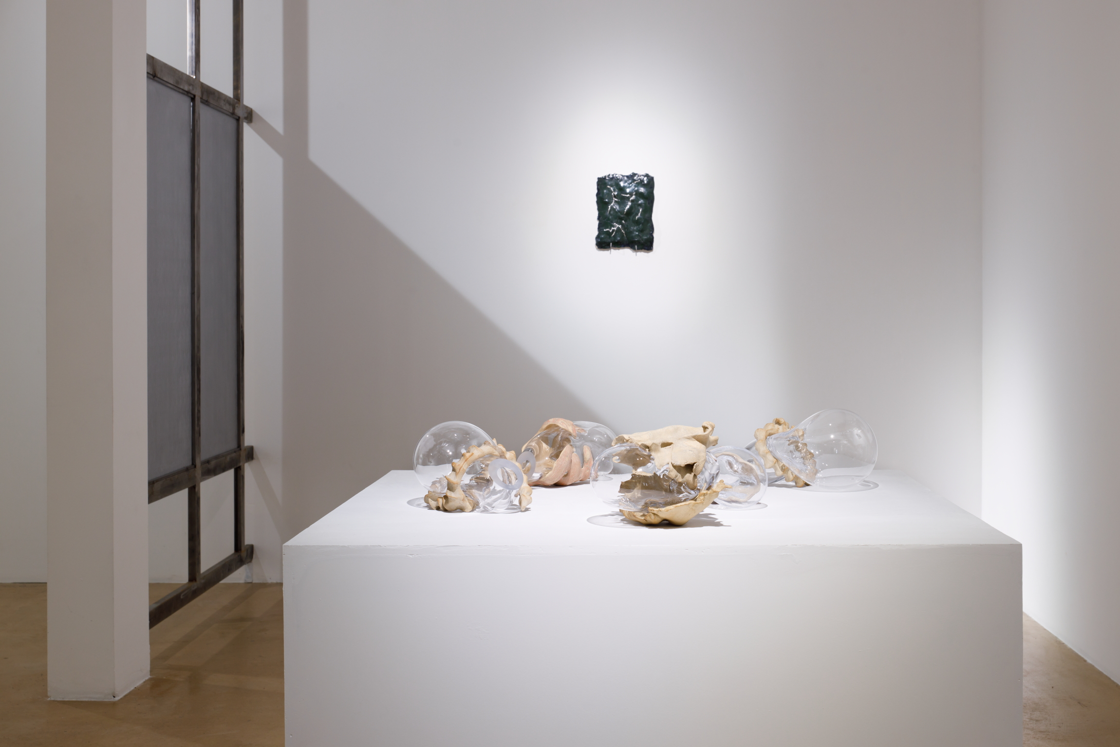 Karlīna Mežecka, Archive of Fragility, exhibition view, 2024. Kim Contemporary Art Centre, Riga.