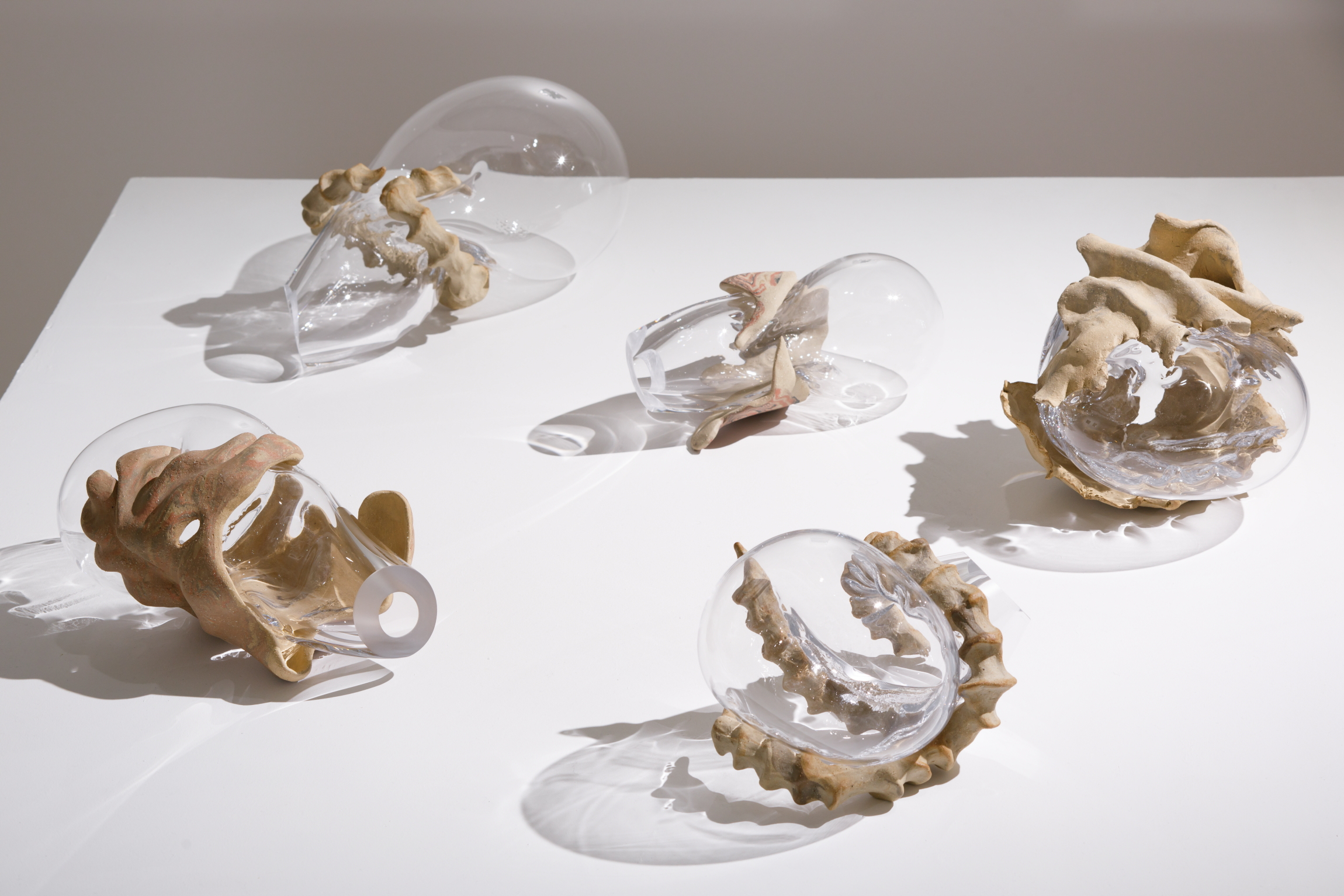 Karlīna Mežecka, Archive of Fragility, exhibition view, 2024. Kim Contemporary Art Centre, Riga.