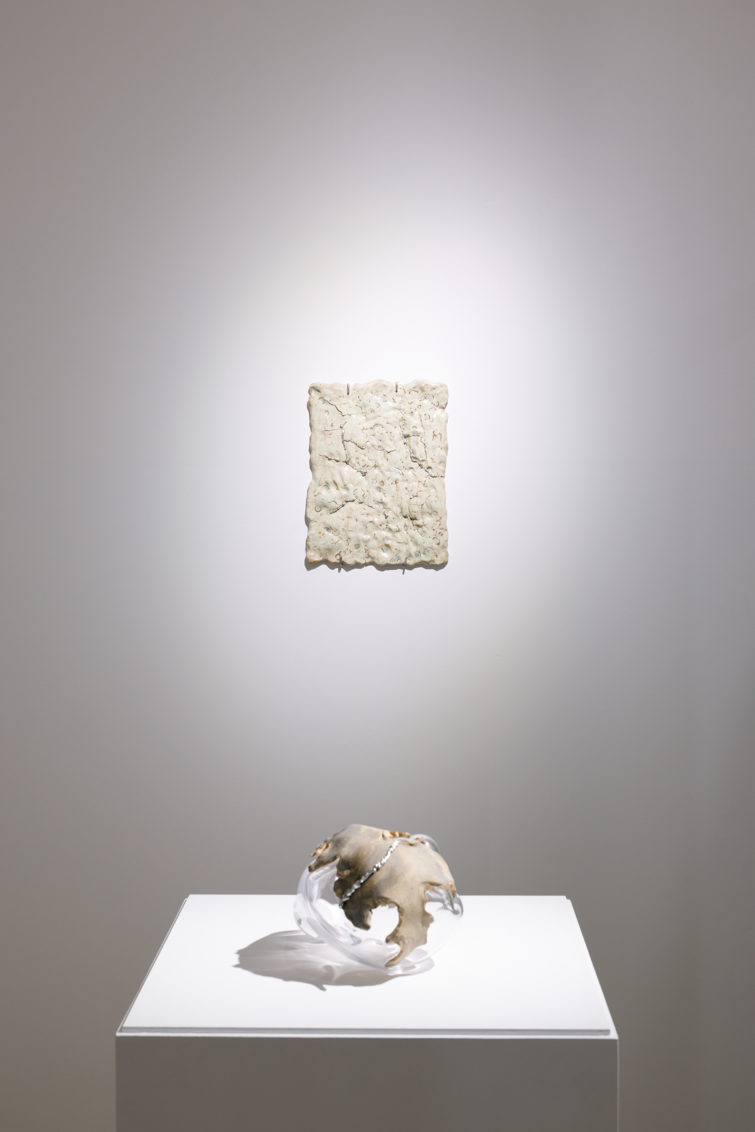 Karlīna Mežecka, Archive of Fragility, exhibition view, 2024. Kim Contemporary Art Centre, Riga.