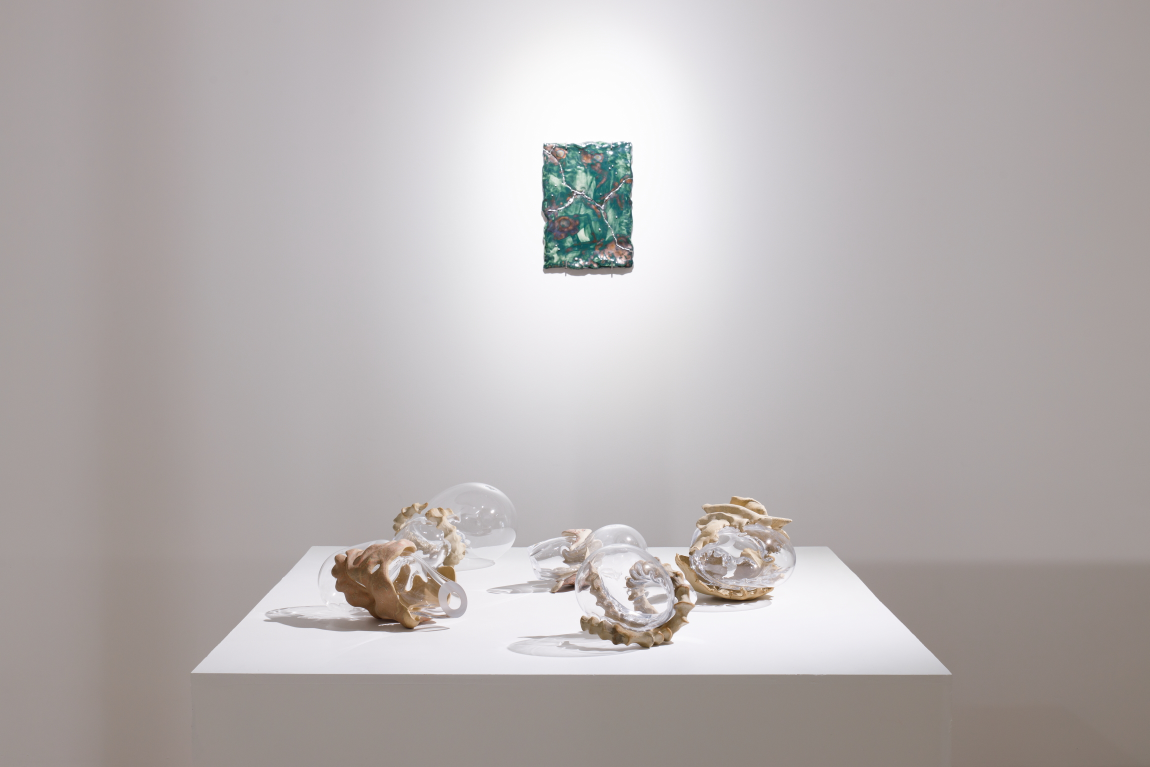 Karlīna Mežecka, Archive of Fragility, 2024, exhibition view. Kim Contemporary Art Centre, Riga.