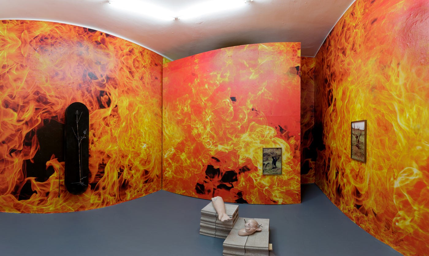 kho_kassandra_installation view