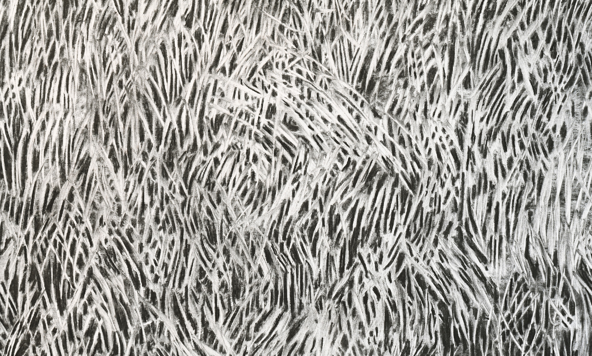 Gras drüber (detail), 2023, charcoal on fabric, 136x267 cm