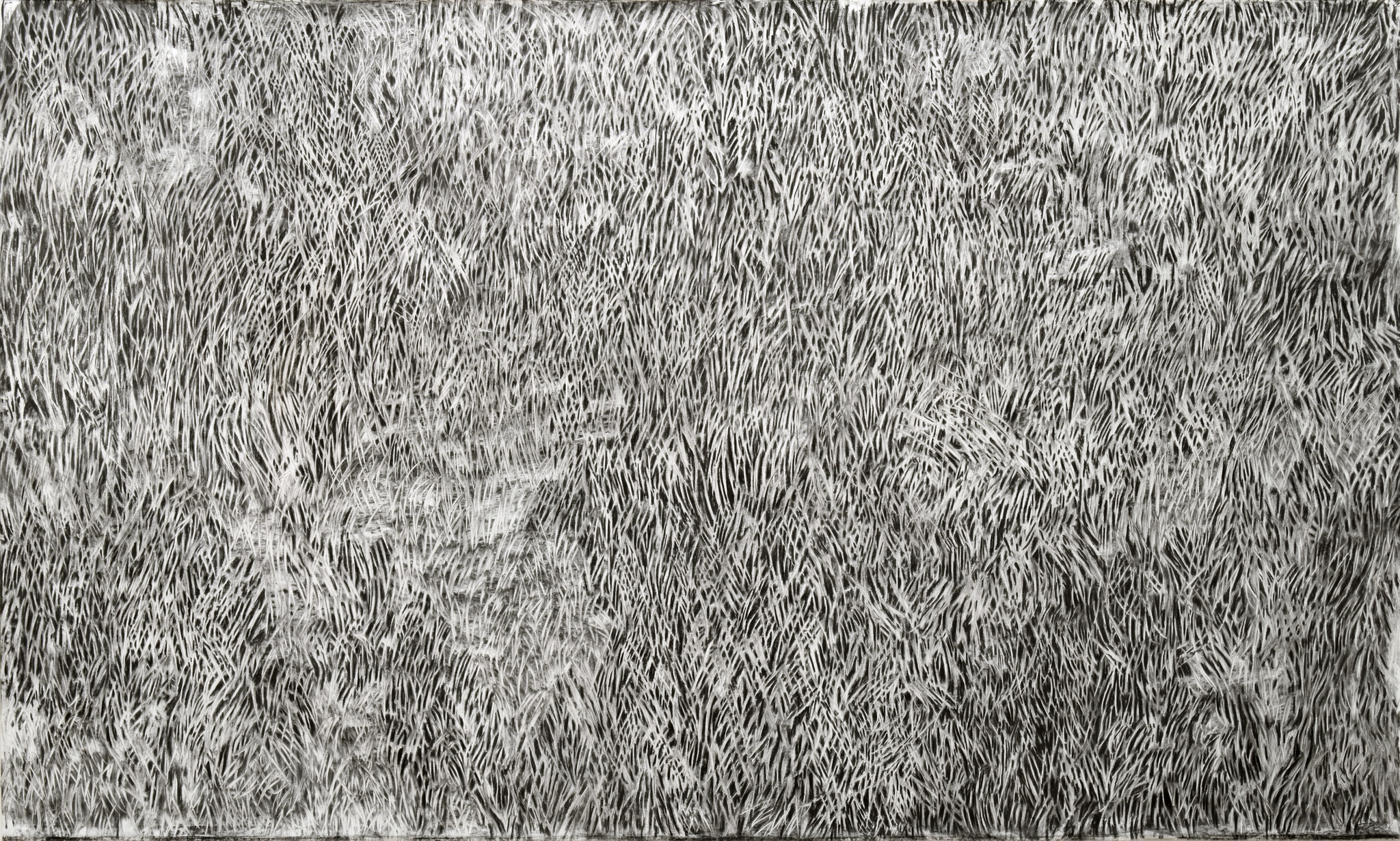 Gras drüber, 2023, charcoal on fabric, 136x267 cm
