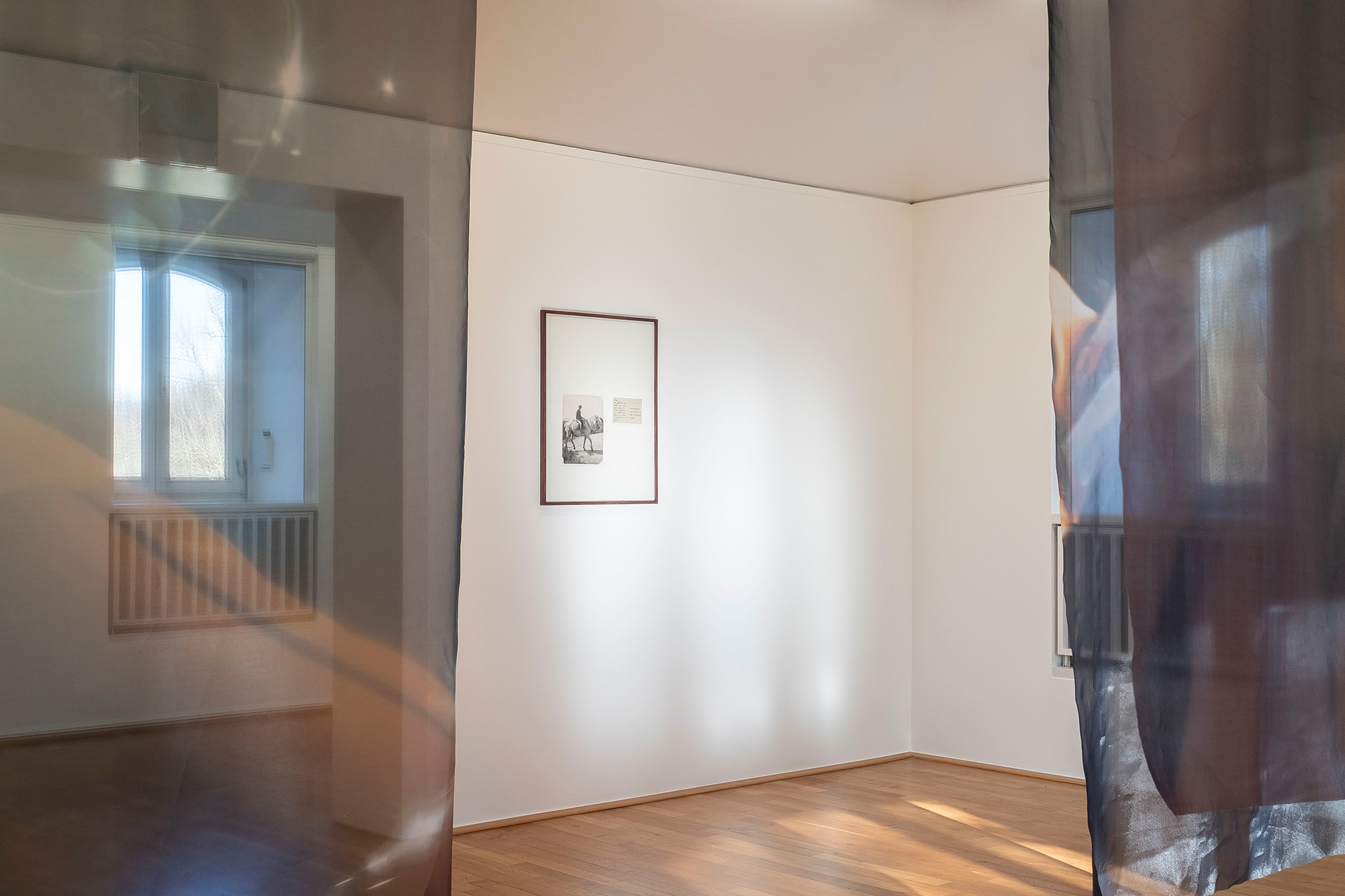 Liv Burkhard, See You In My Dreams, photographs and archive material, 2023; photo: Mathias Völzke.